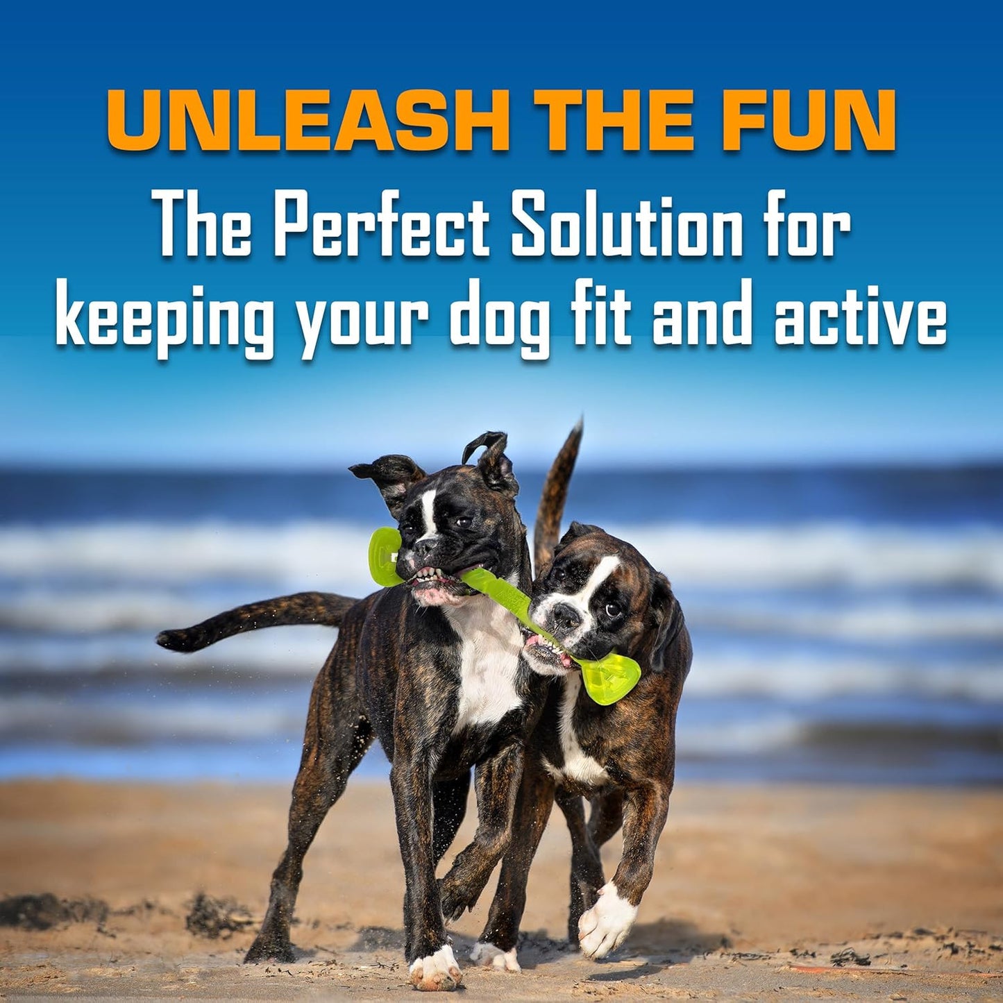 Toy Gift Set, 3-Piece Set of Outdoor Dog Toys for Tug and Fetch, Includes Spike