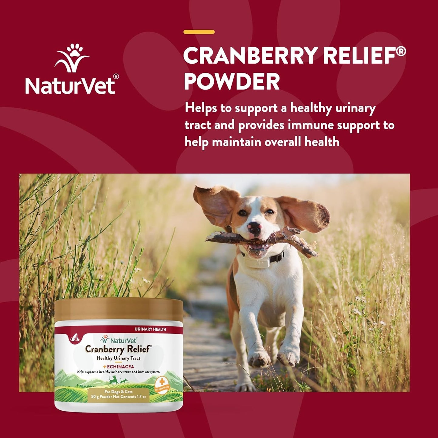 – Cranberry Relief plus Echinacea | Helps Support a Healthy Urinary Tract & Immu