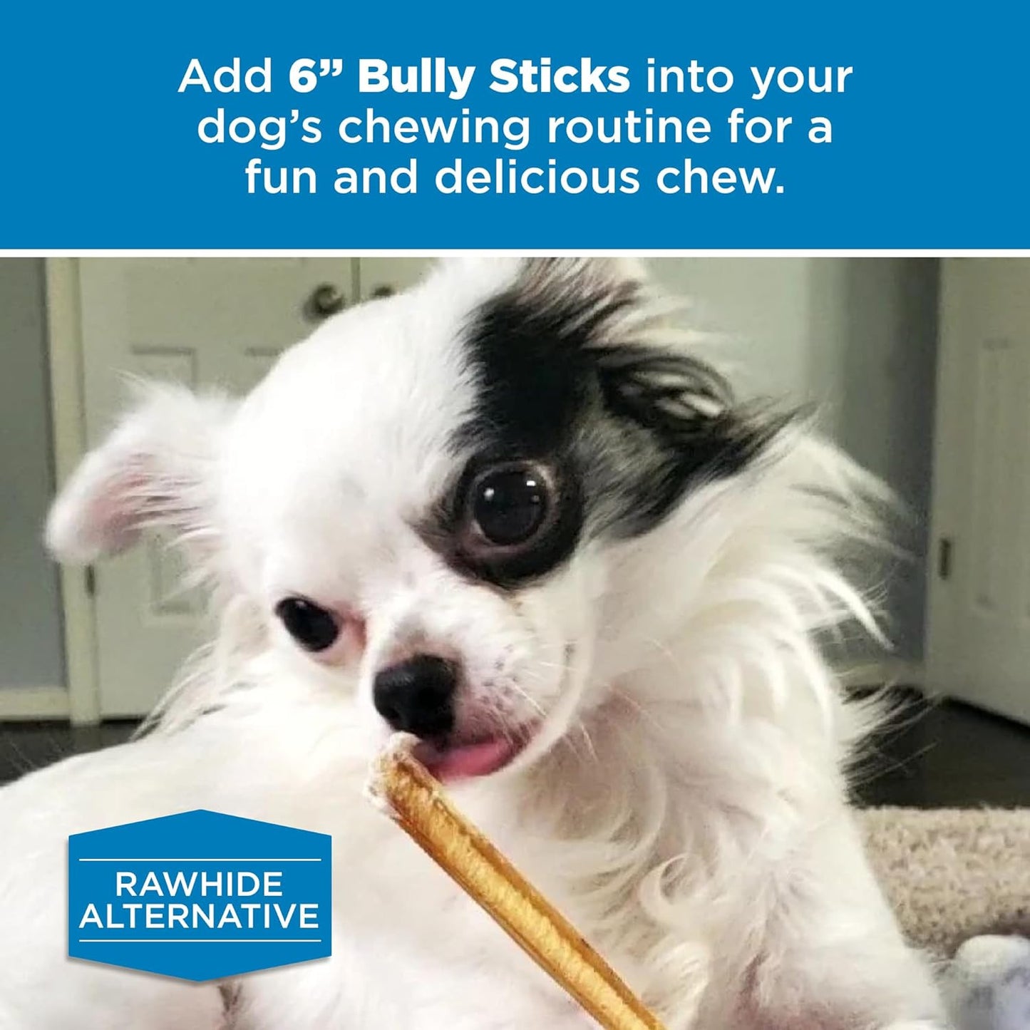 6 Inch Bully Sticks - 8 Oz (Pack of 1) - Natural Grass-Fed, Grain and Rawhide Fr