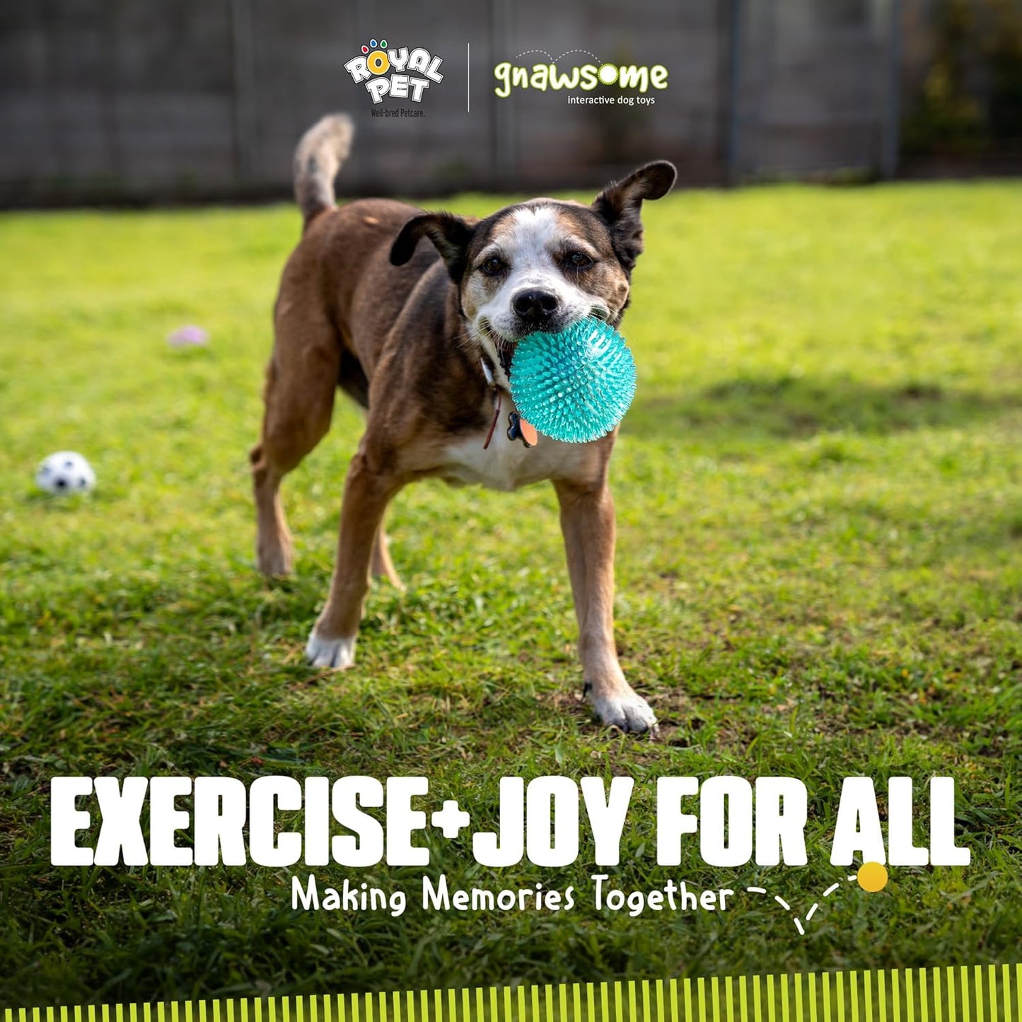 ™ 4.5” Spiky Squeaker Ball Dog Toy - Extra Large, Cleans Teeth and Promotes Good