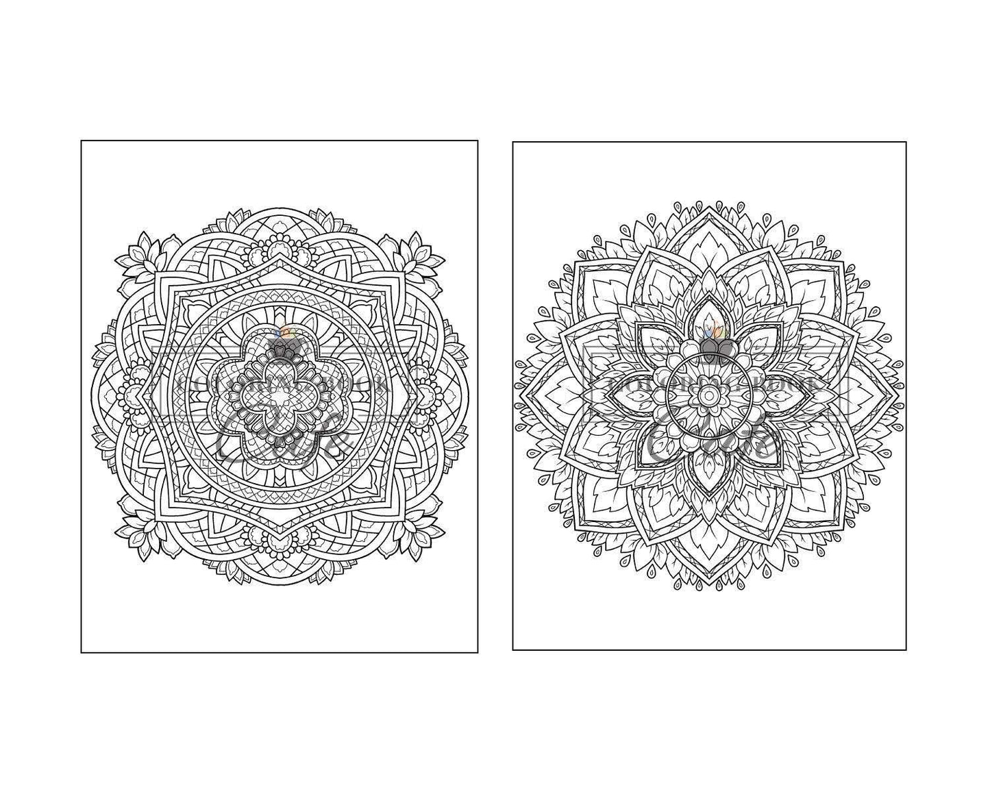 125 Mandalas: an Adult Coloring Book Featuring 125 of the World’S Most Beautiful