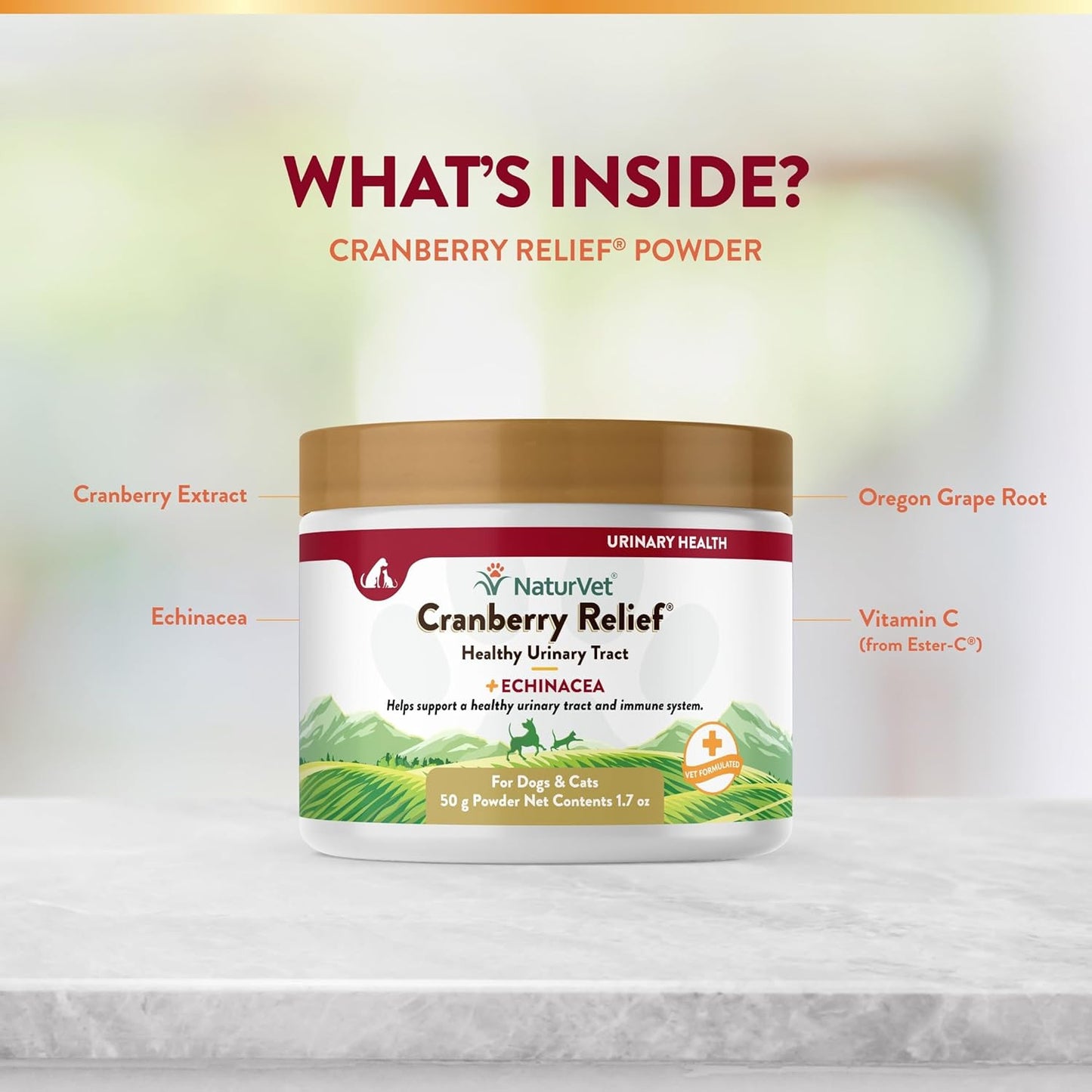 – Cranberry Relief plus Echinacea | Helps Support a Healthy Urinary Tract & Immu