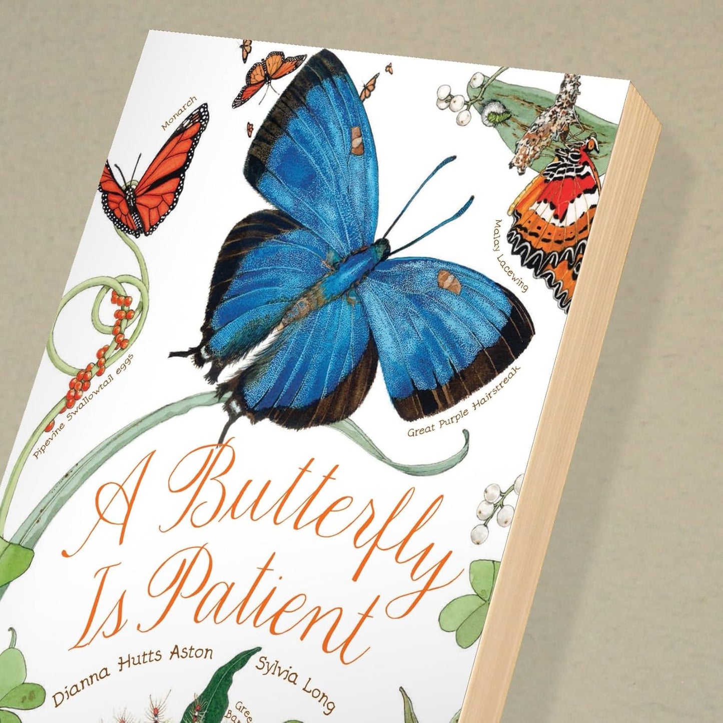 A Butterfly Is Patient: (Nature Books for Kids, Children'S Books Ages 3-5, Award