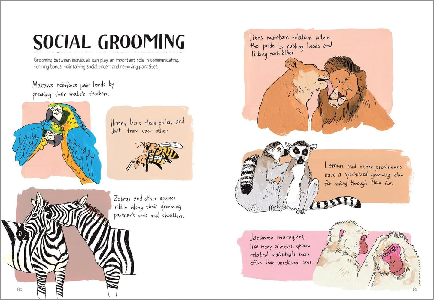 Wildlife Anatomy: the Curious Lives & Features of Wild Animals around the World