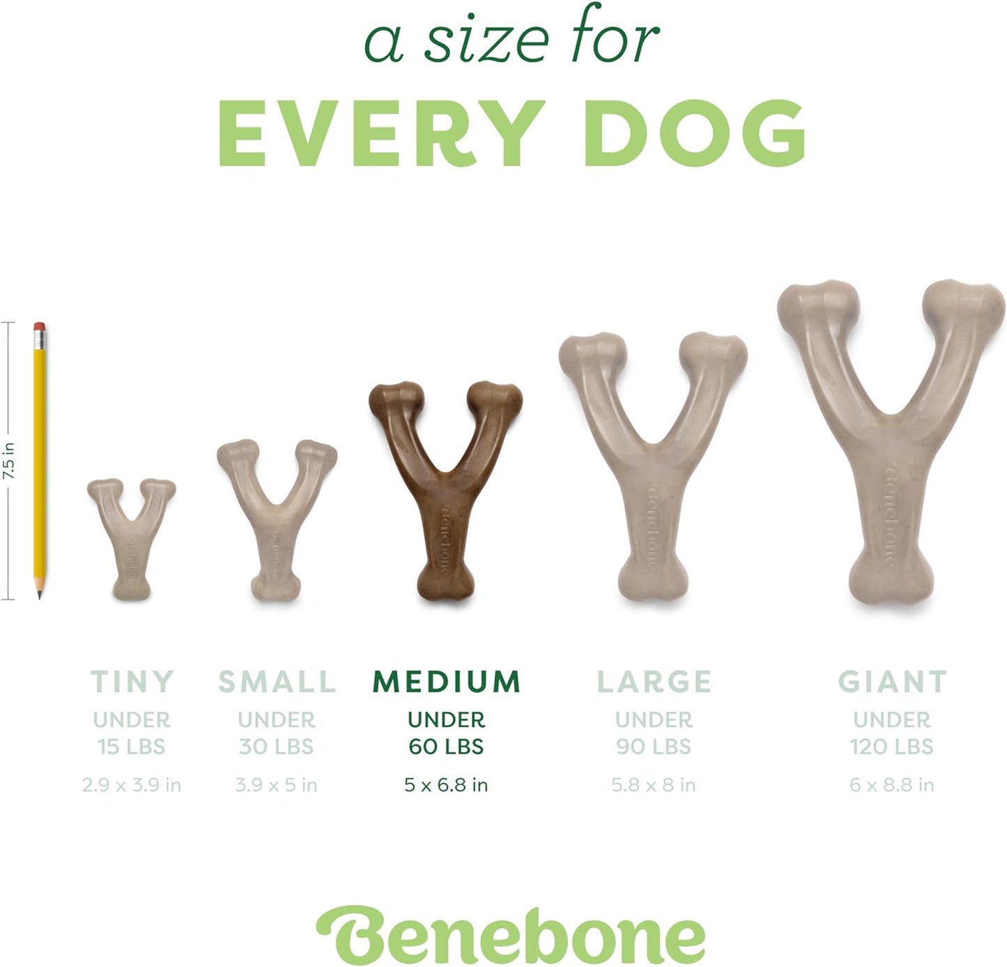 Wishbone Durable Dog Chew Toy for Aggressive Chewers, Real Bacon, Made in USA, M