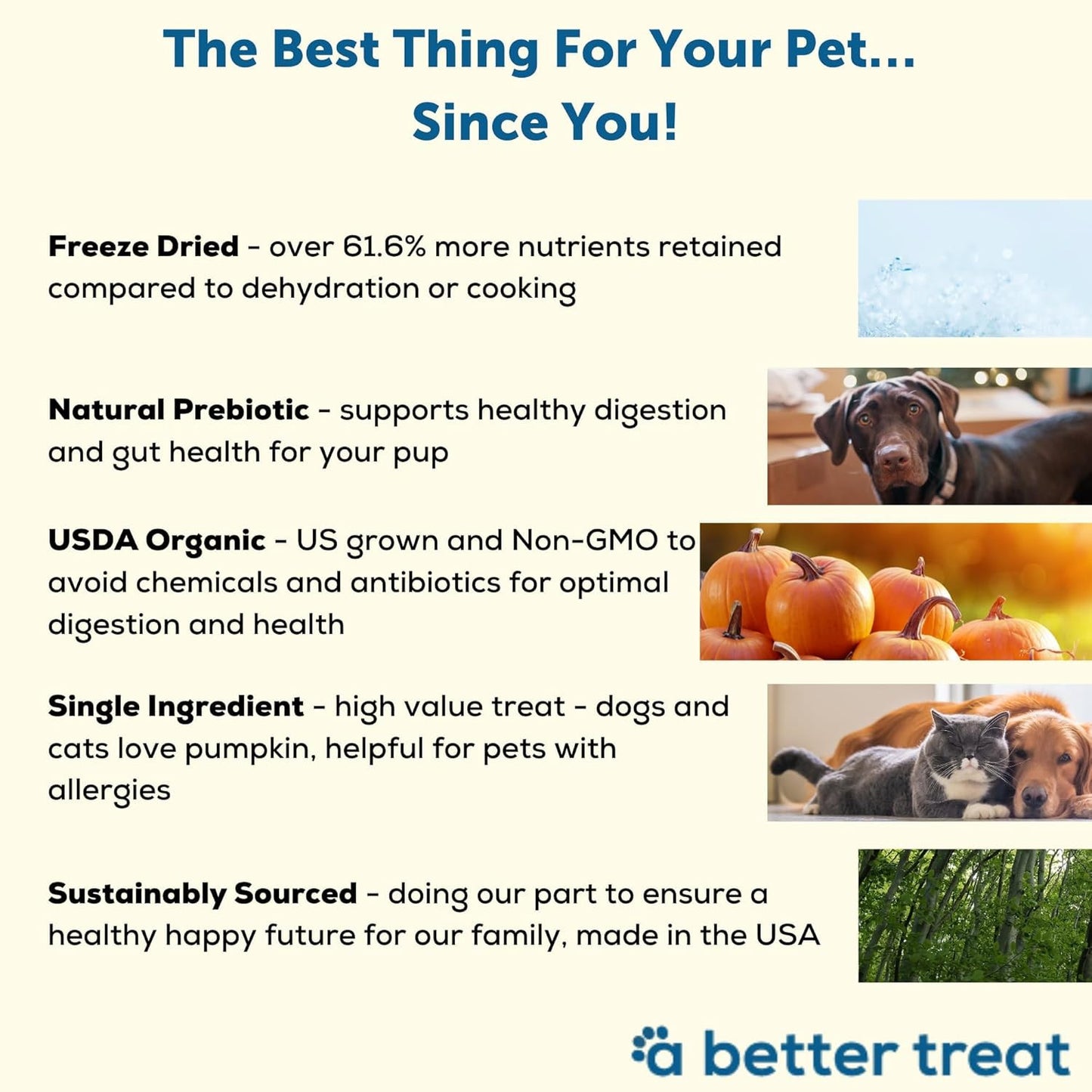 – Freeze Dried Organic Pumpkin Dog and Cat Treats, Organic, Single Ingredient |