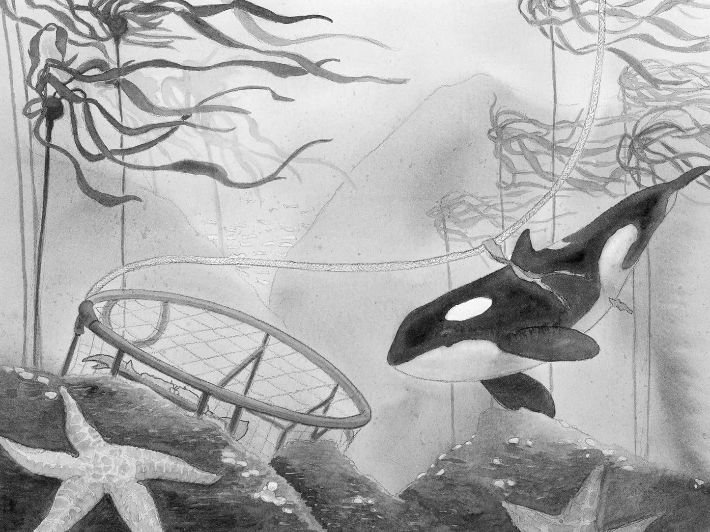 A Whale of the Wild: a Thrilling Tale of an Orca’S Journey across the Oceana Sta