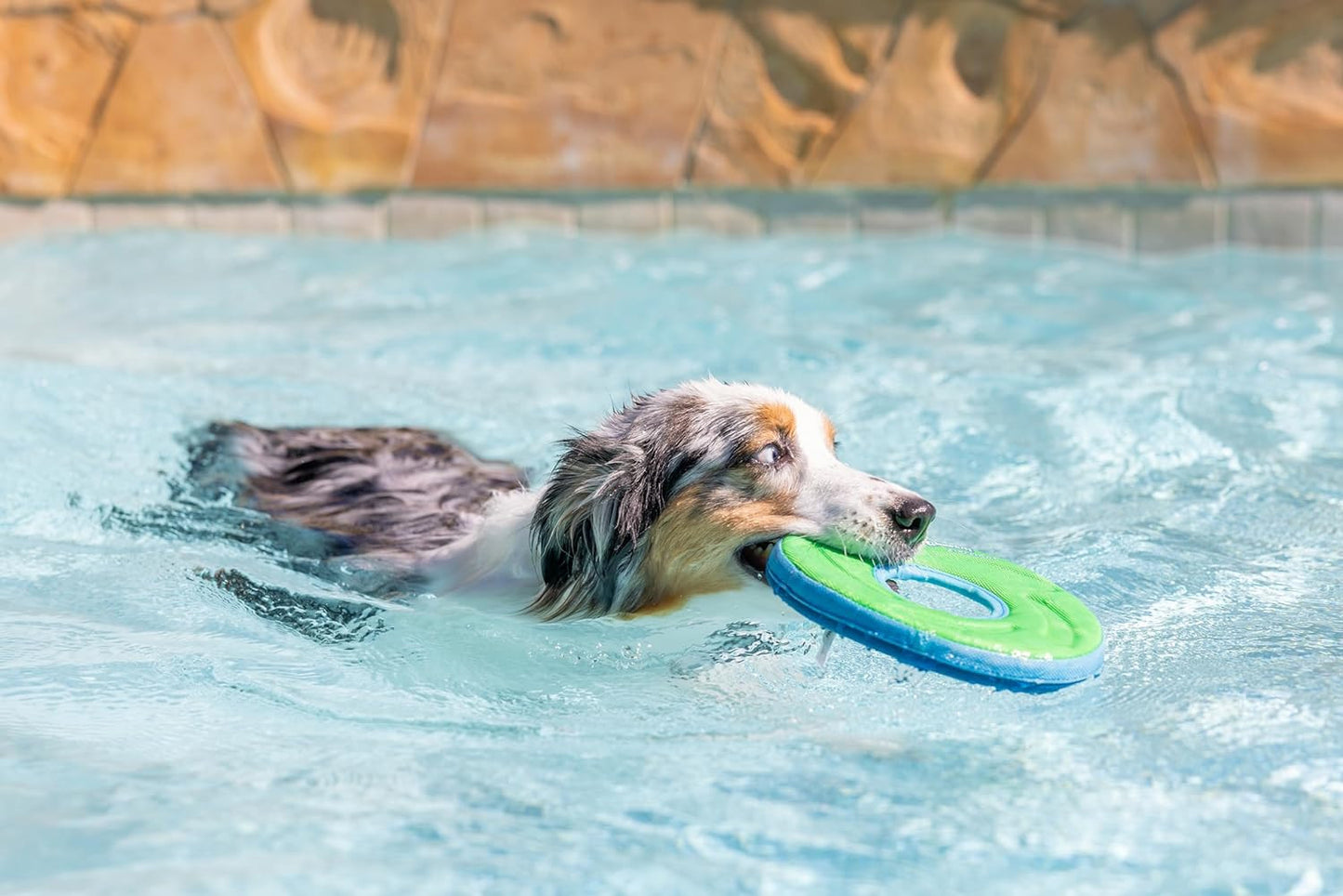 Zipflight Flying Disc Dog Toy, Medium (8.5"), Orange and Blue