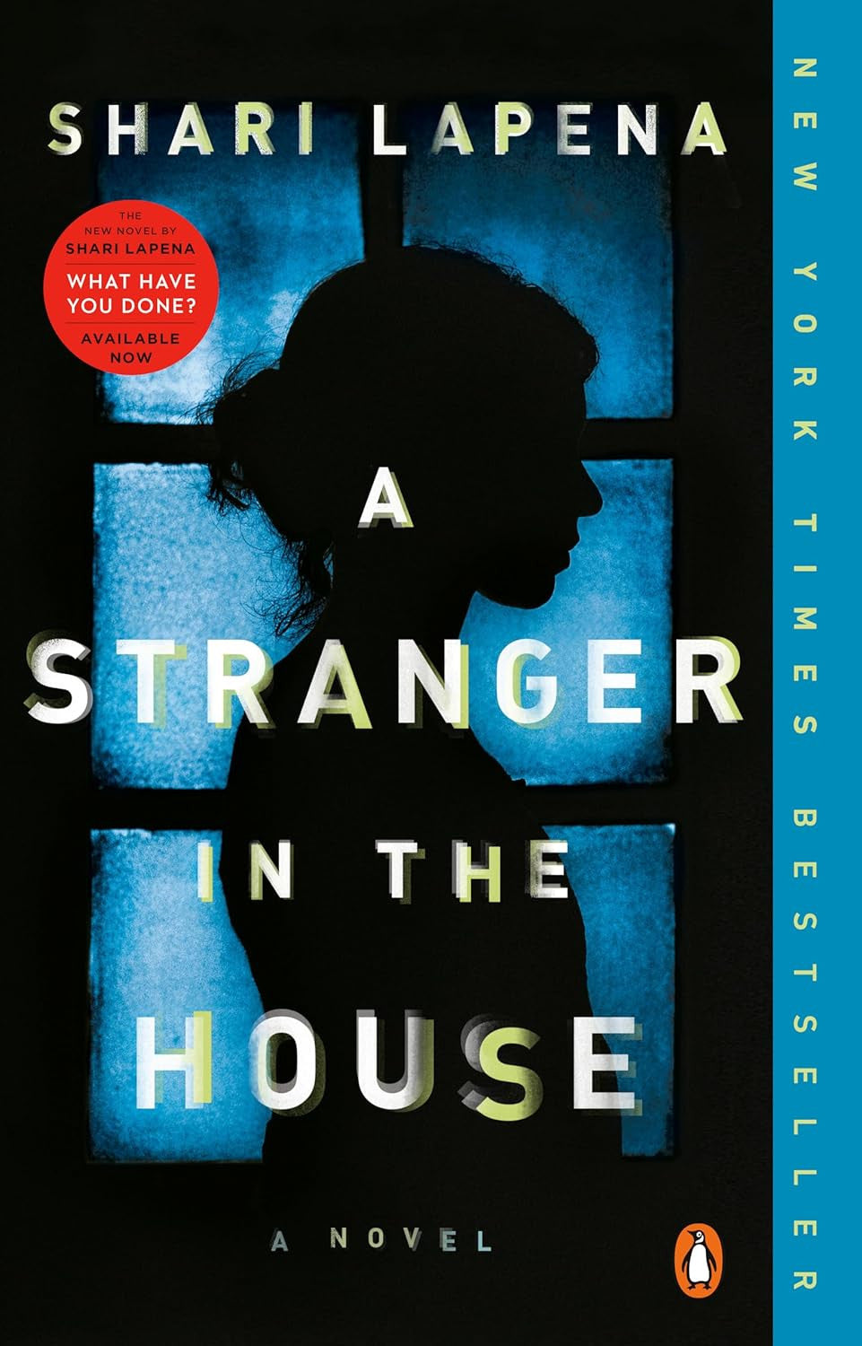 A Stranger in the House: a Novel
