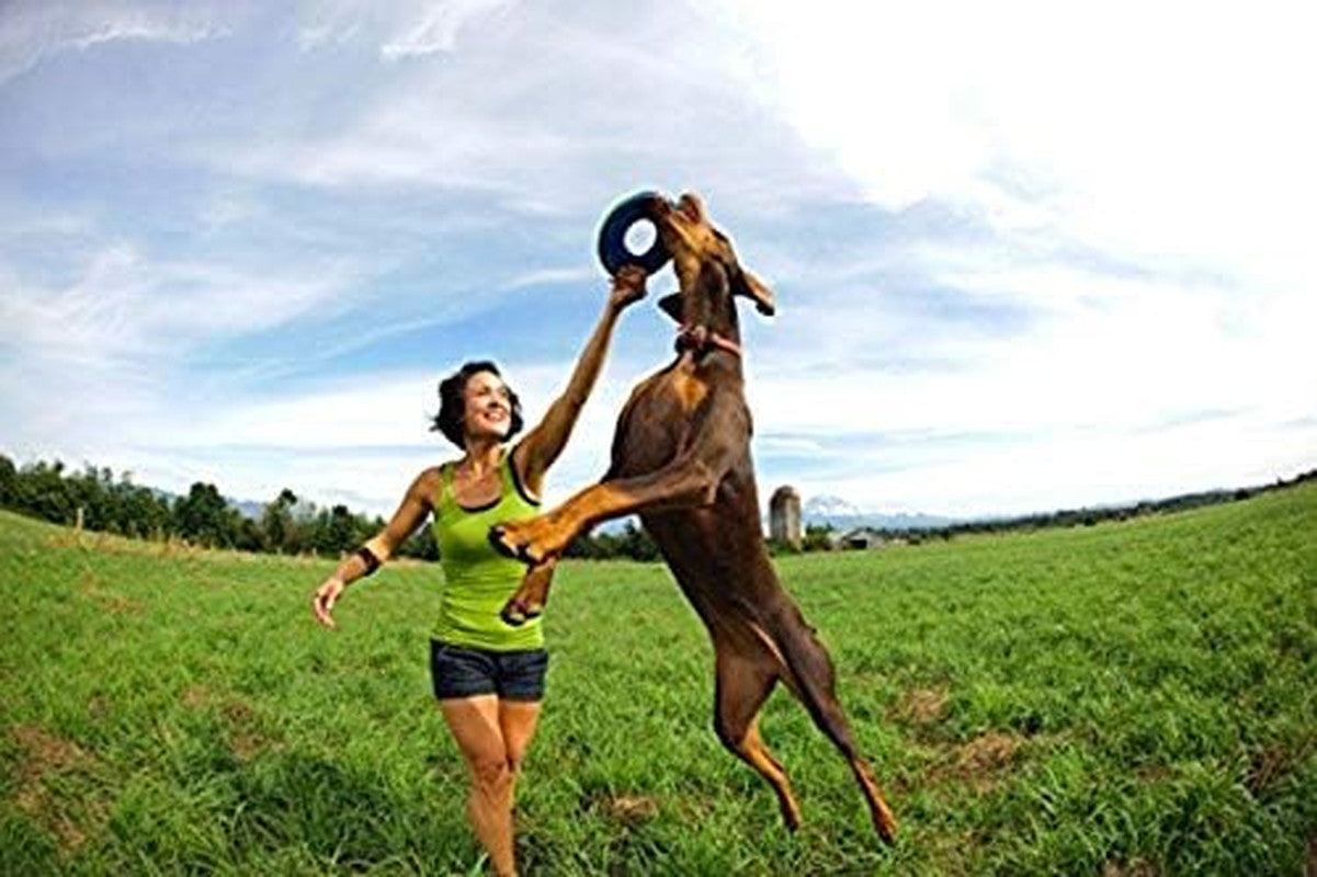 Zipflight Flying Disc Dog Toy, Medium (8.5"), Orange and Blue