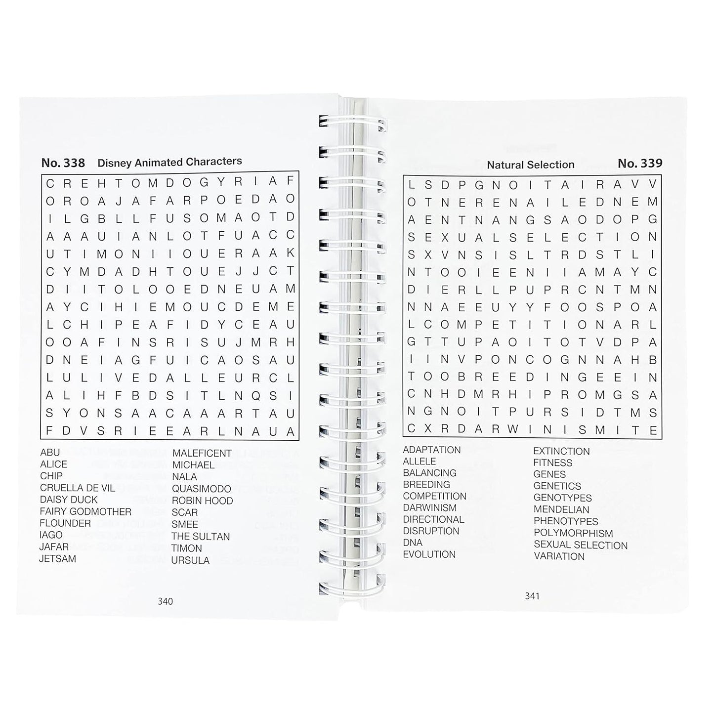 Word Search Puzzles (Big Book of Puzzles) (Brain Busters)