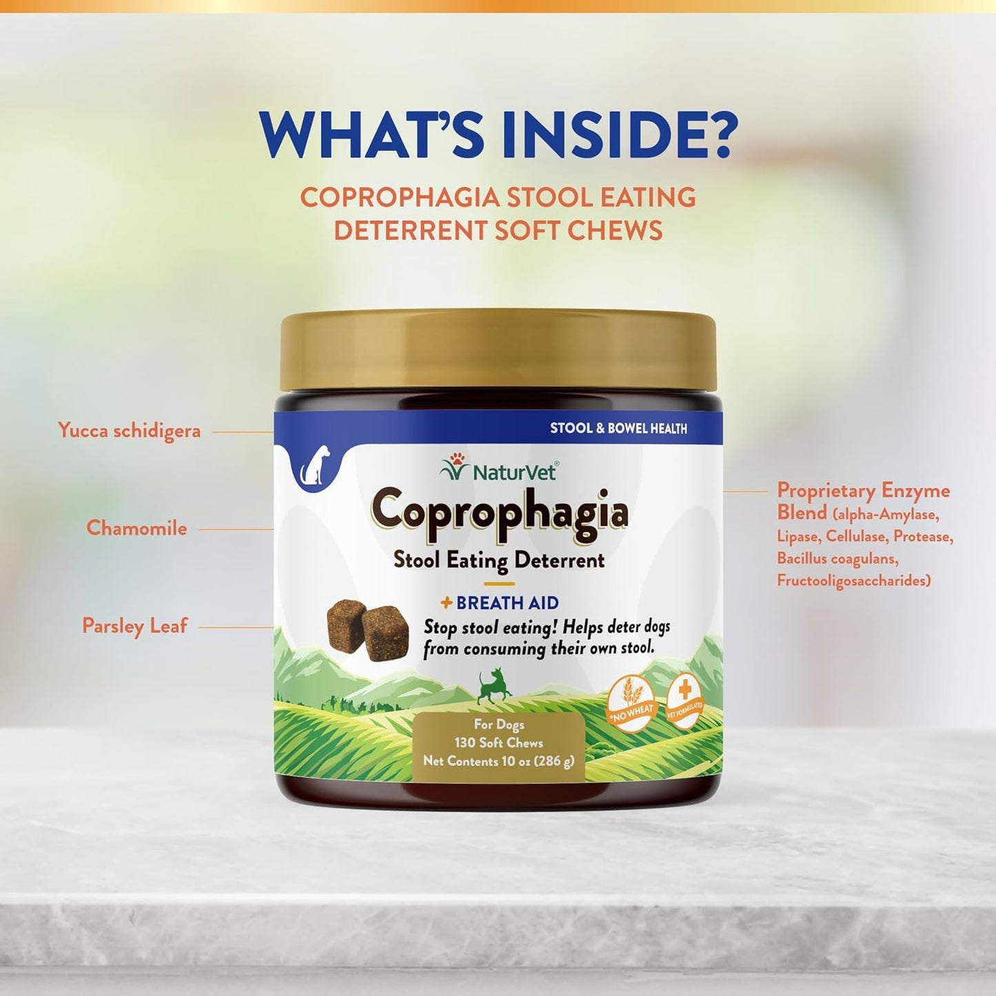 – Coprophagia Stool Eating Deterrent – Deters Dogs from Consuming Stool – No Poo