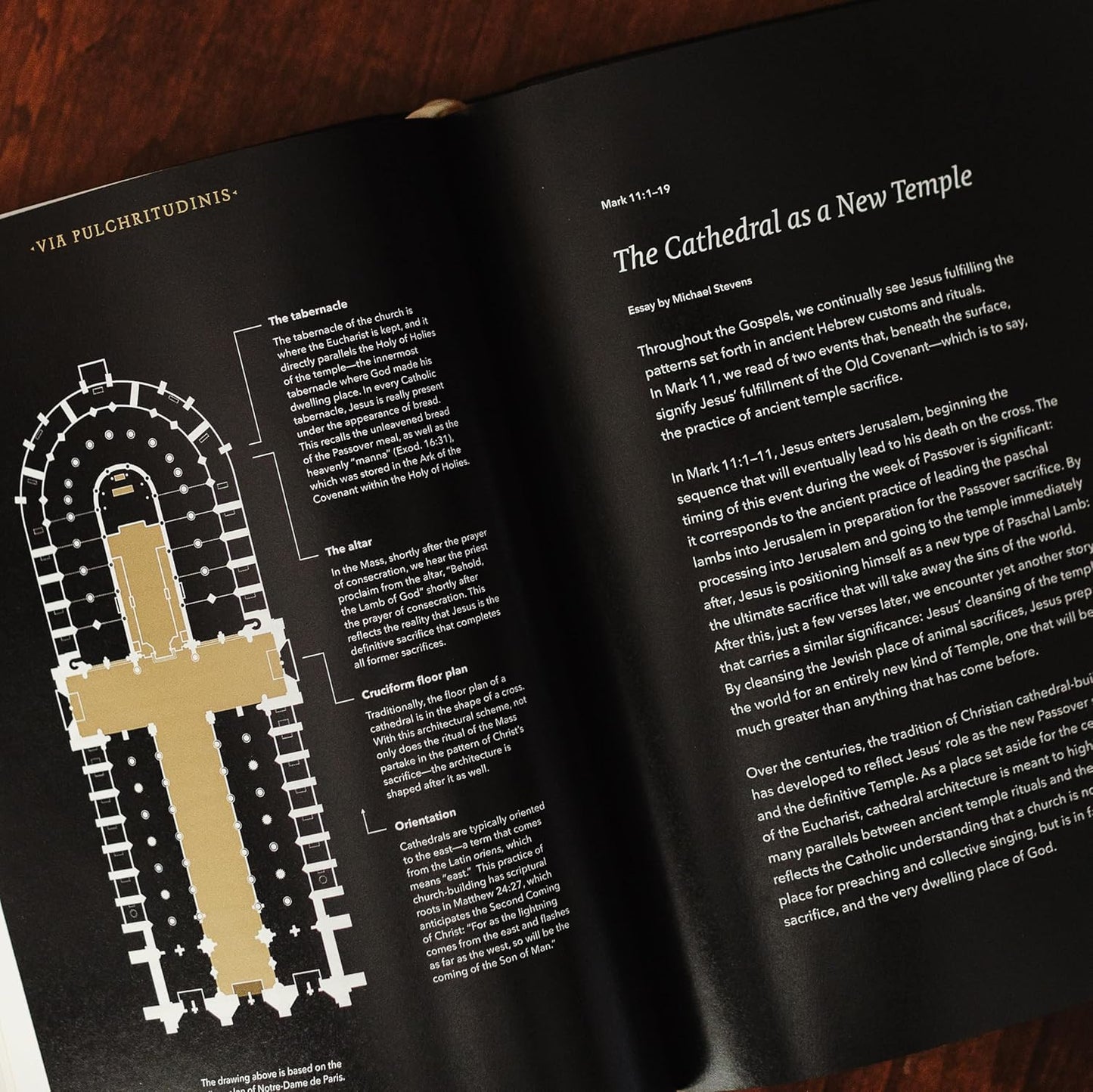 The Word on Fire Bible (Volume I): the Gospels (Paperback) (Word on Fire Bible S