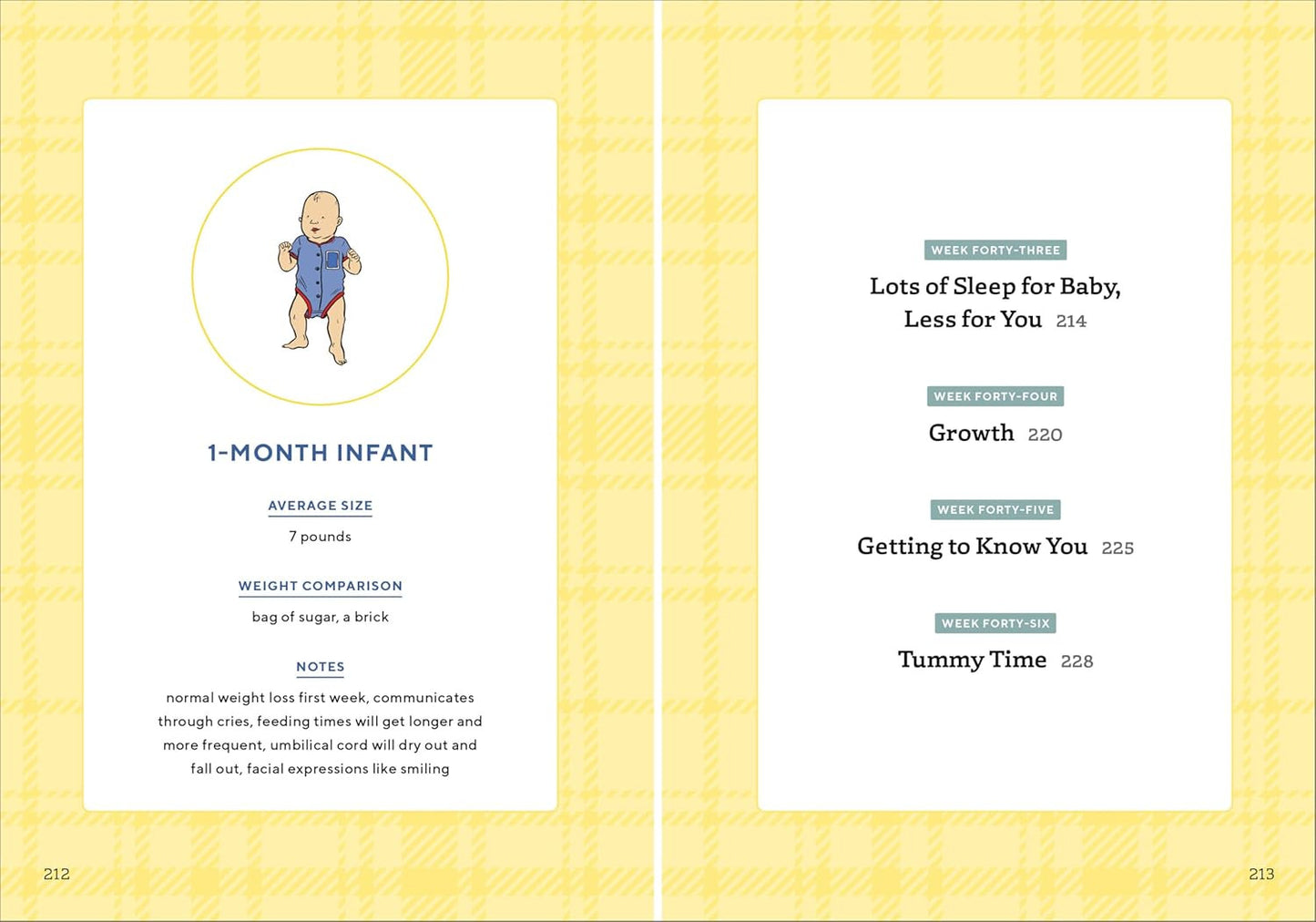 We'Re Pregnant! the First Time Dad'S Pregnancy Handbook