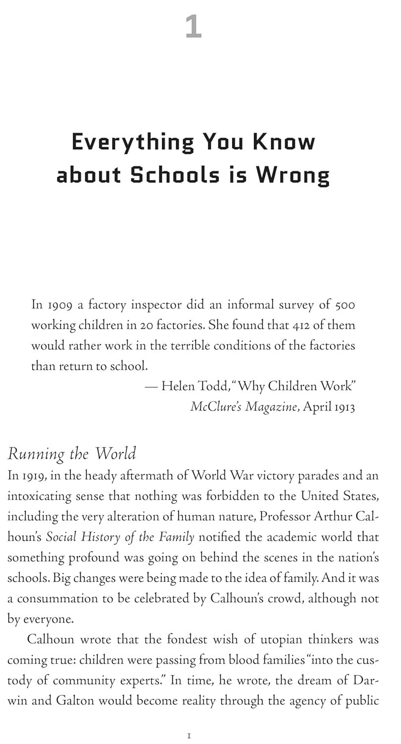 Weapons of Mass Instruction: a Schoolteacher'S Journey through the Dark World of