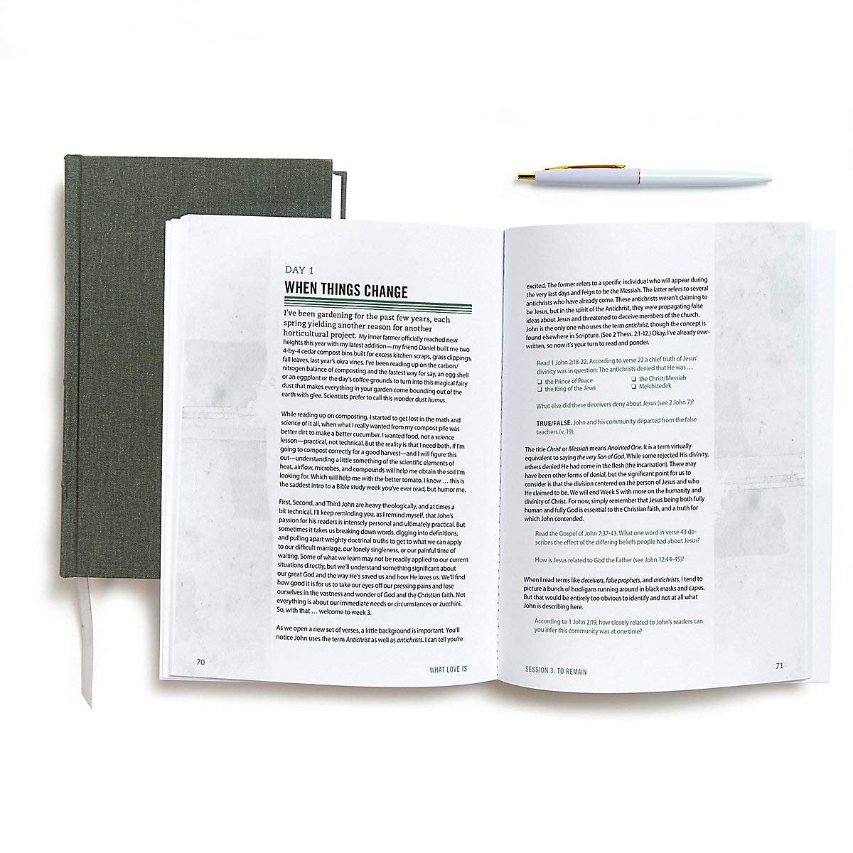 What Love Is - Bible Study Book: the Letters of 1, 2, 3 John (The Living Room Se