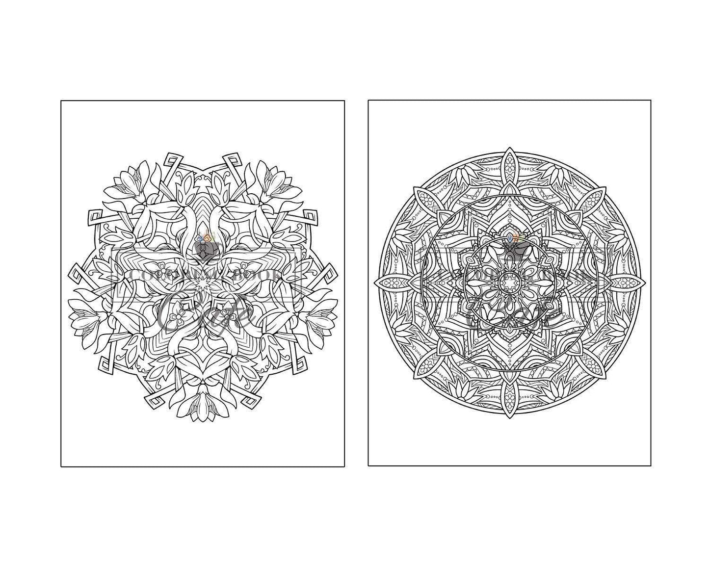 125 Mandalas: an Adult Coloring Book Featuring 125 of the World’S Most Beautiful