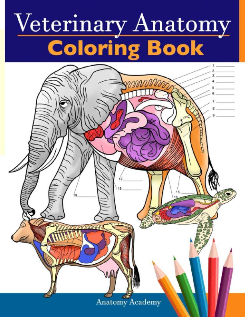 Veterinary Anatomy Coloring Book: Animals Physiology Self-Quiz Color Workbook fo