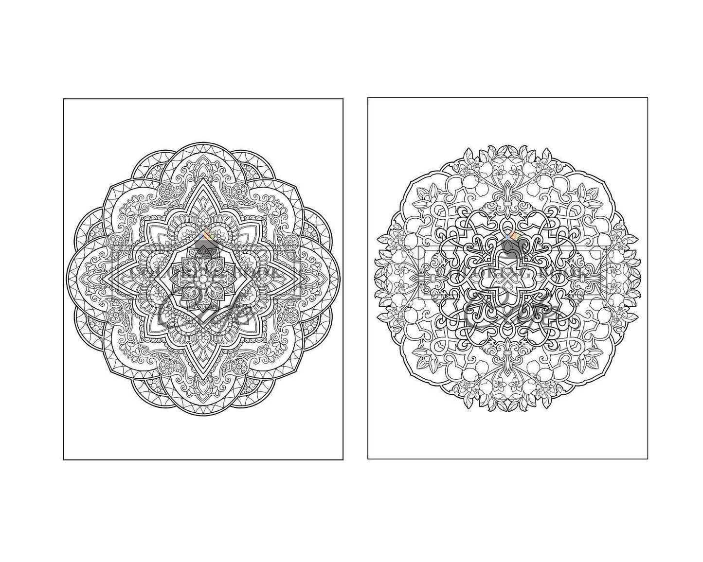 125 Mandalas: an Adult Coloring Book Featuring 125 of the World’S Most Beautiful