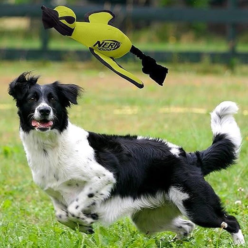 Trackshot Launching Duck Dog Toy, 16.5 Dog Fetch Toy for Medium and Large Breeds
