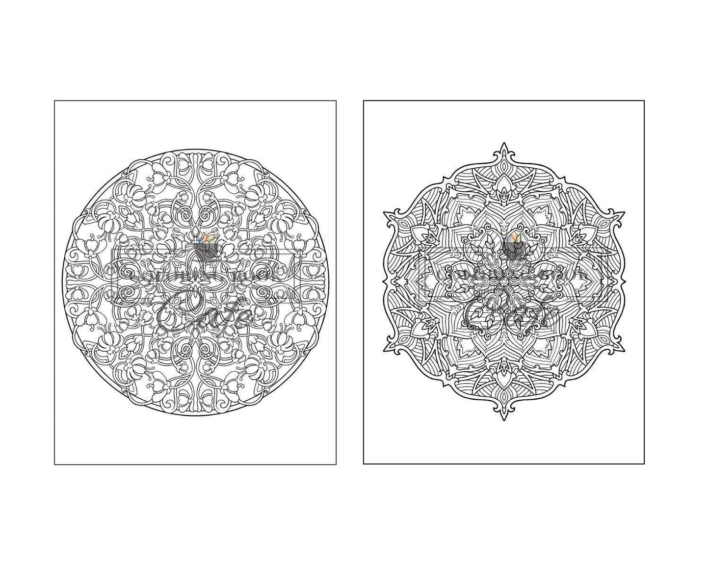 125 Mandalas: an Adult Coloring Book Featuring 125 of the World’S Most Beautiful