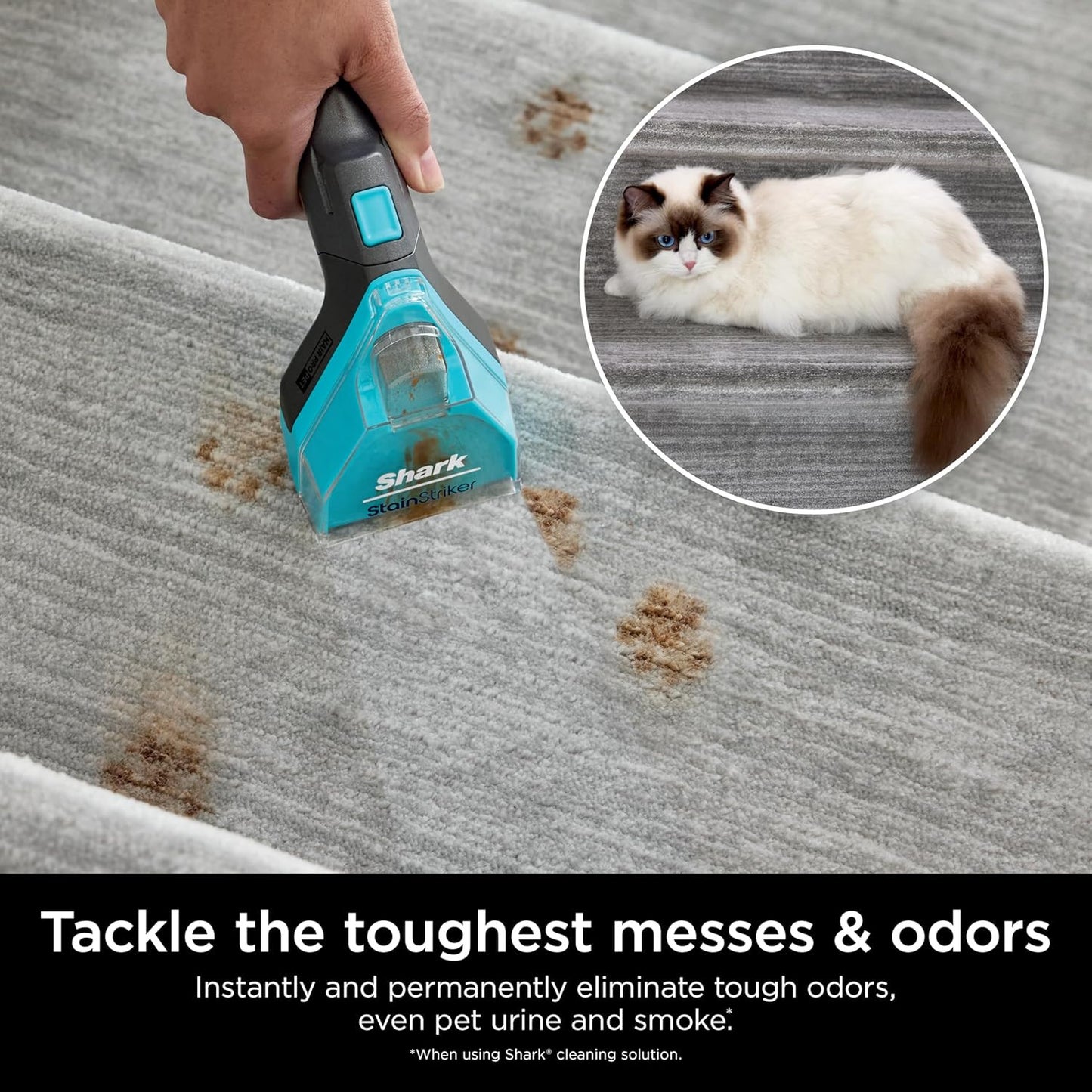 Stainstriker OXY Multiplier Formula for All Portable & Upright Carpet Cleaners,