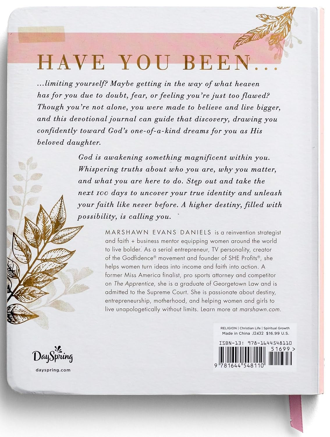 100 Days of Believing Bigger: a Devotional Journal