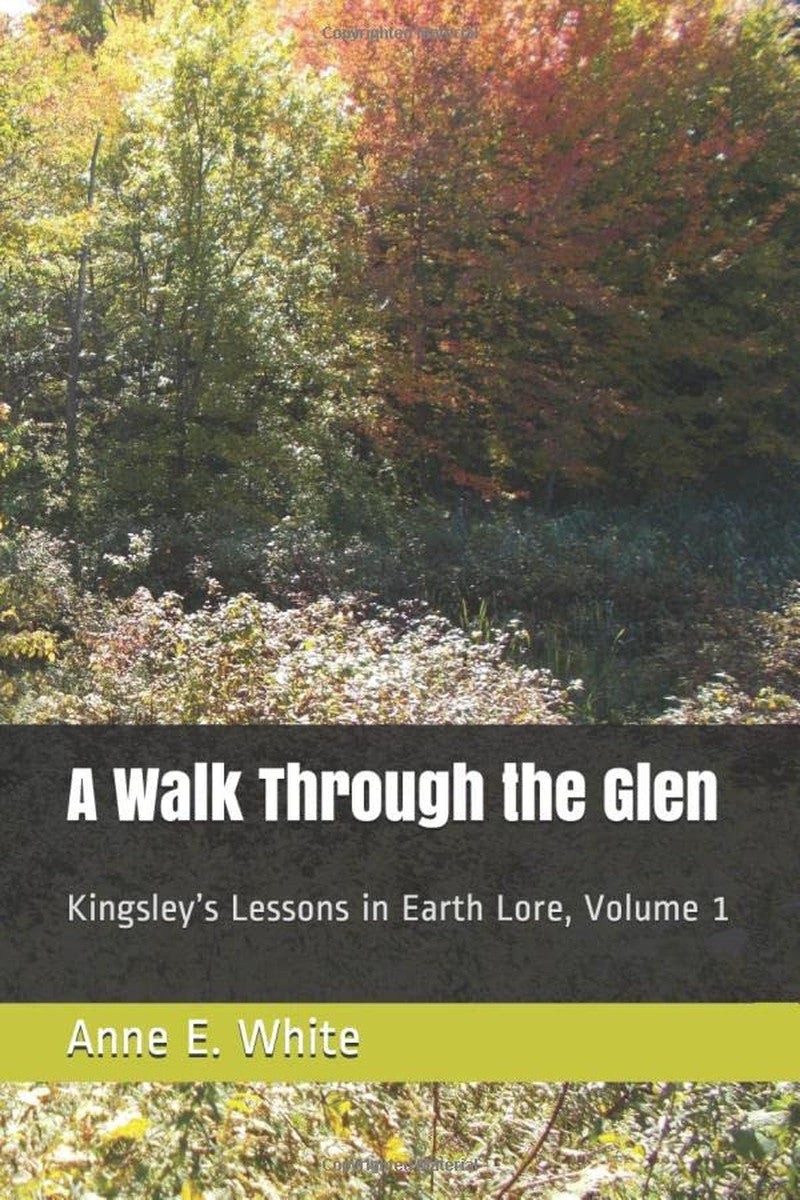 A Walk through the Glen: Kingsley’S Lessons in Earth Lore, Volume 1