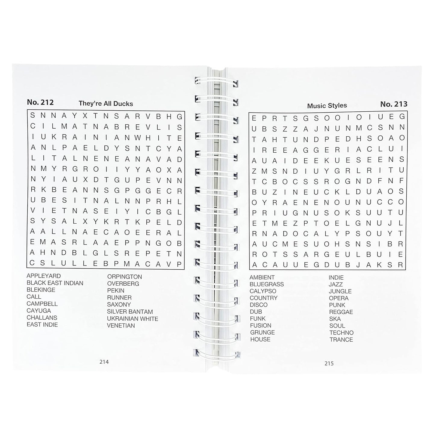 Word Search Puzzles (Big Book of Puzzles) (Brain Busters)