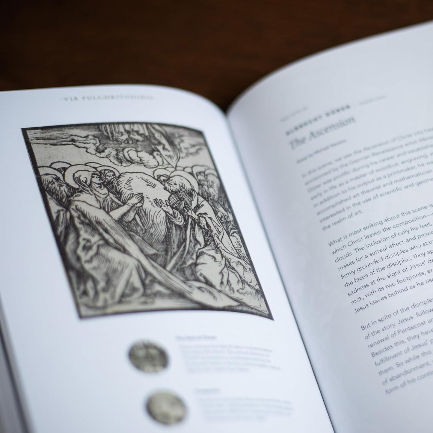 The Word on Fire Bible (Volume I): the Gospels (Paperback) (Word on Fire Bible S