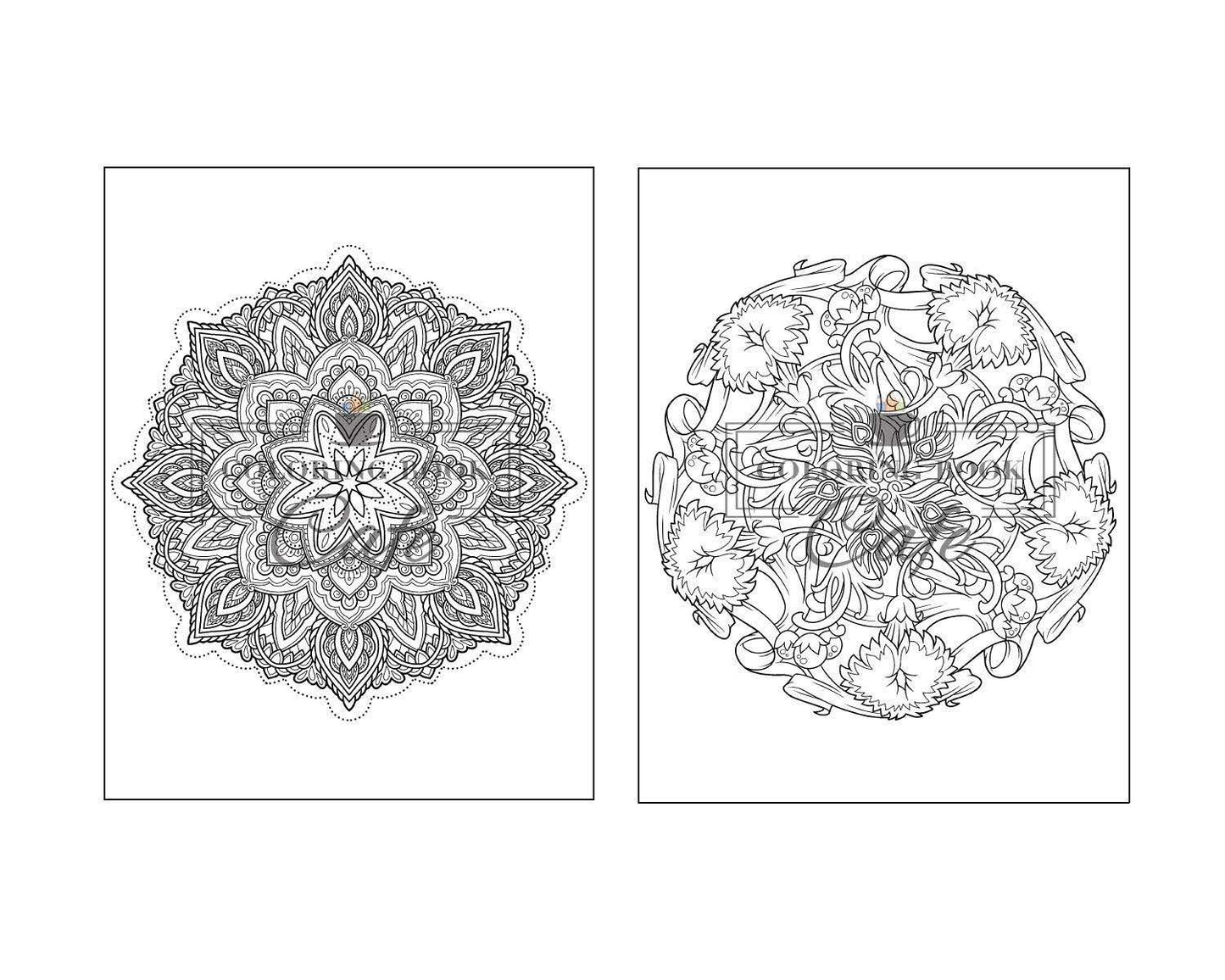 125 Mandalas: an Adult Coloring Book Featuring 125 of the World’S Most Beautiful