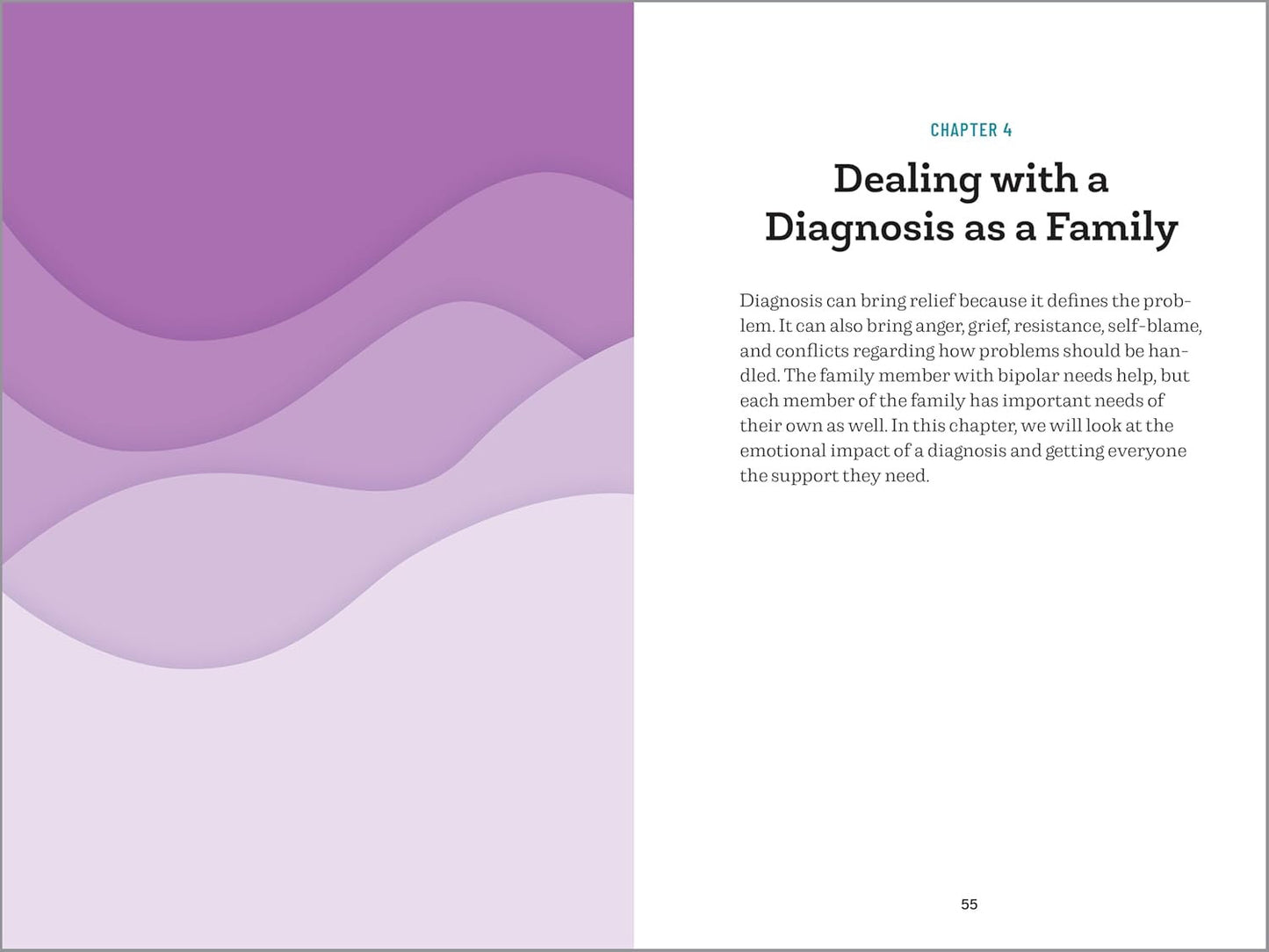 Understanding Bipolar Disorder: the Essential Family Guide