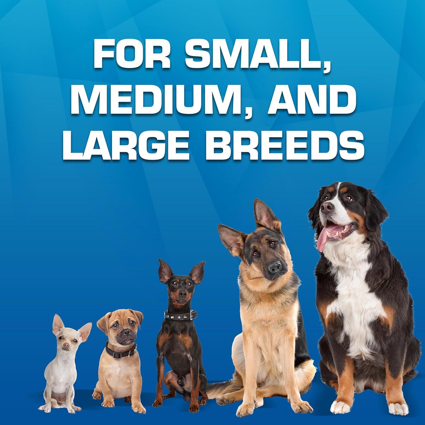 Toy Gift Set, 3-Piece Set of Outdoor Dog Toys for Tug and Fetch, Includes Spike