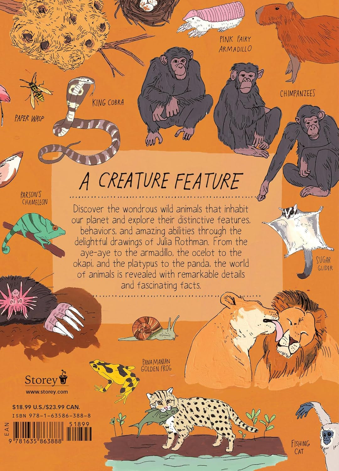 Wildlife Anatomy: the Curious Lives & Features of Wild Animals around the World