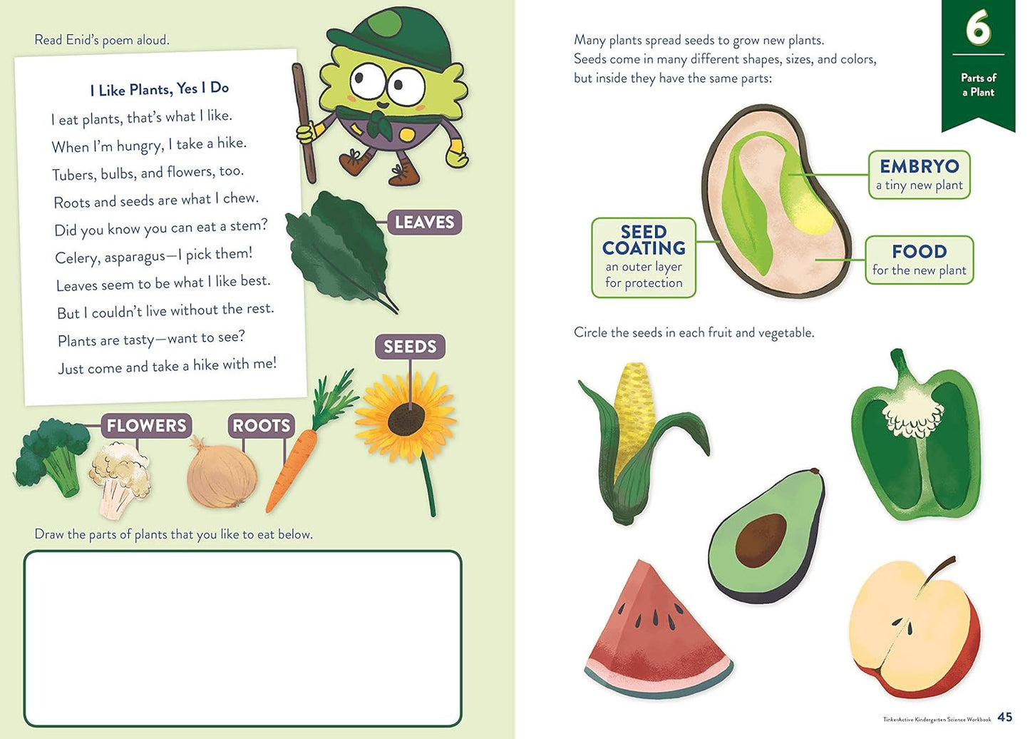 Tinkeractive Workbooks: Kindergarten Science