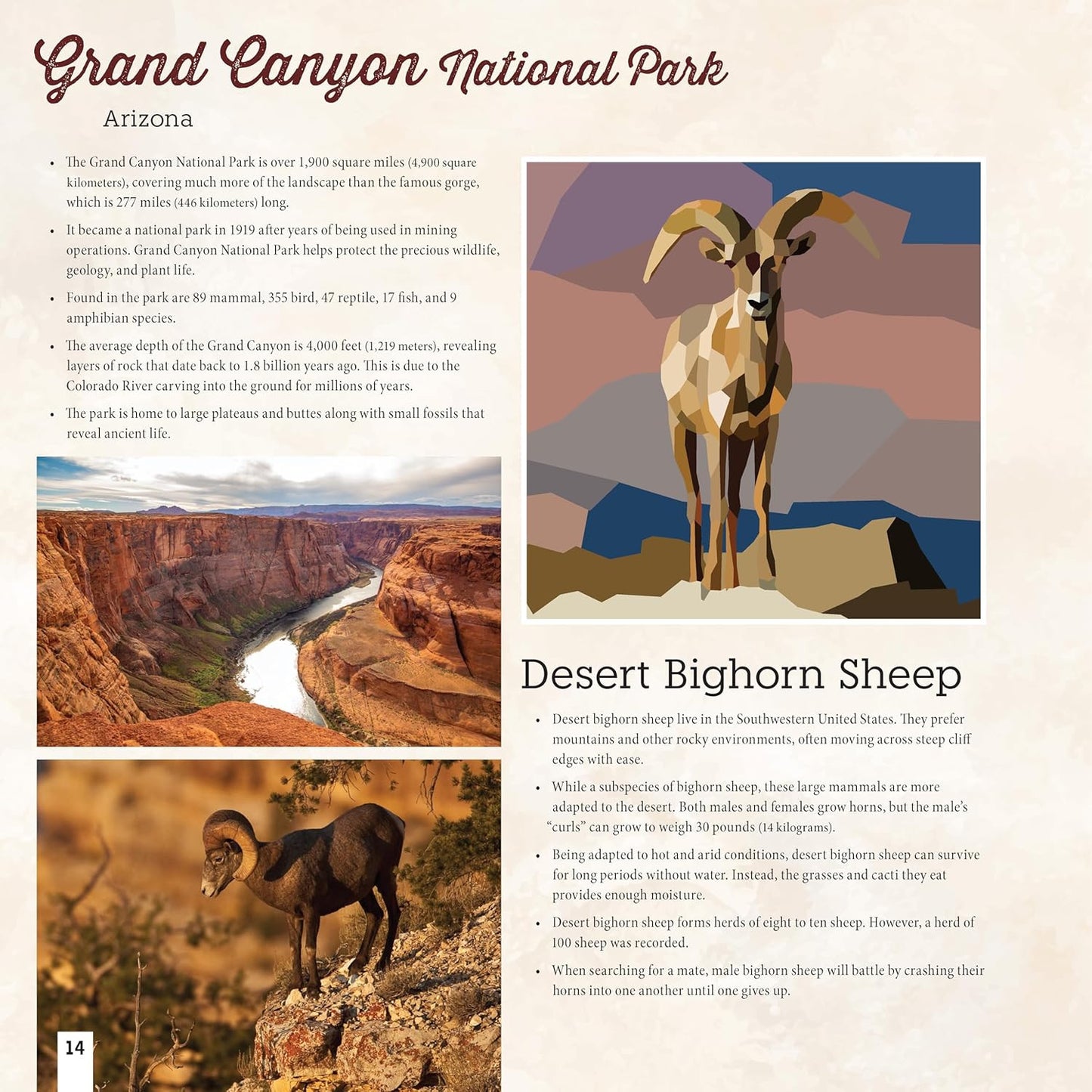 National Parks of North America Amazing Animals Sticker Painting Book: 12 Super