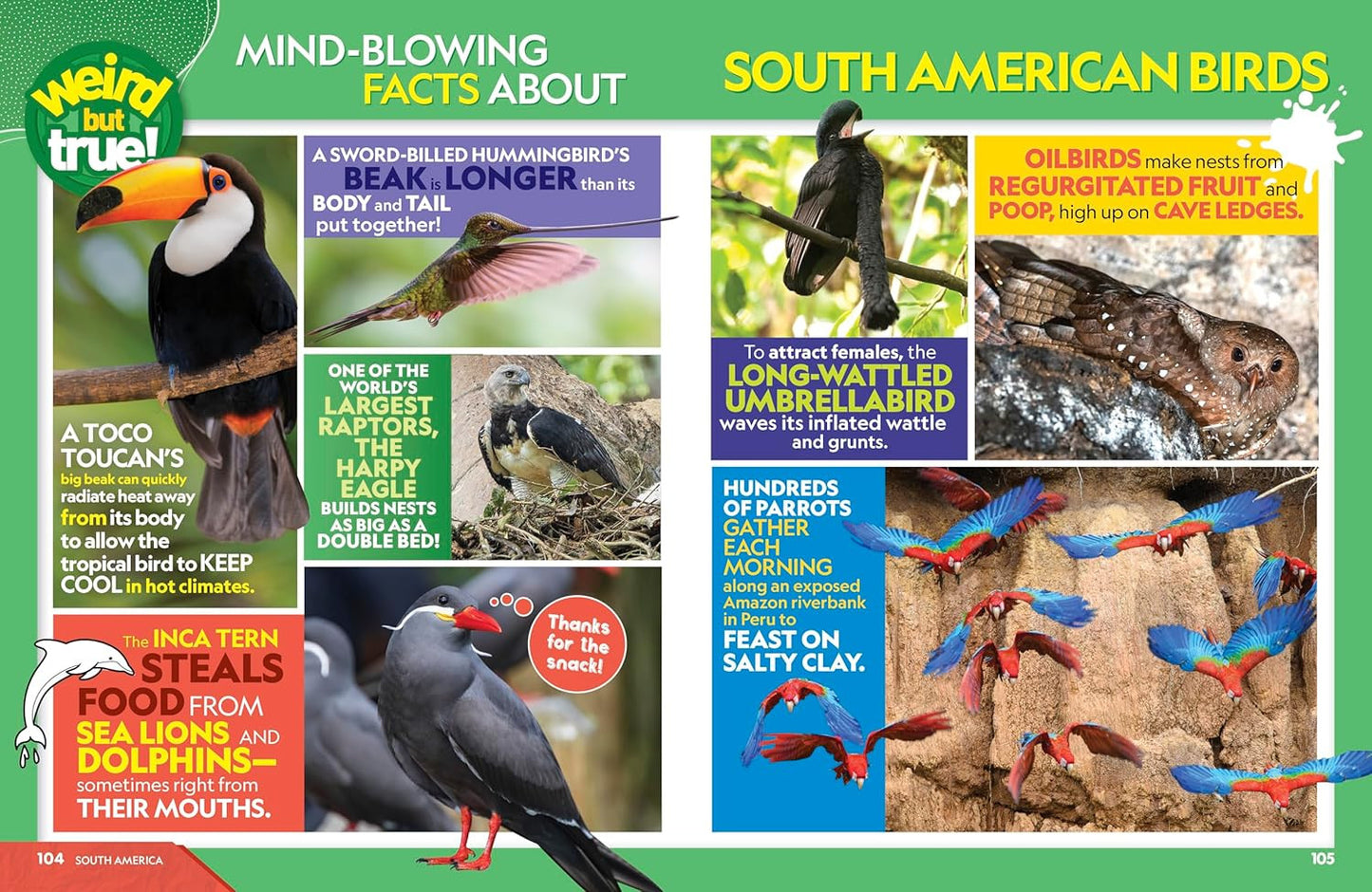 Weird but True World! 2025: Incredible Facts, Awesome Photos, and Weird Wonders-