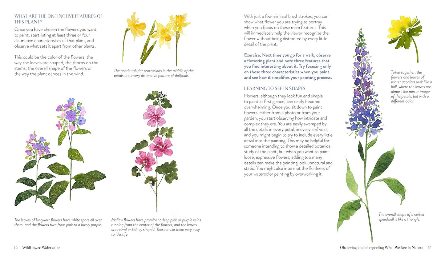 Wildflower Watercolor: the Beginner’S Guide to Painting Beautiful Florals