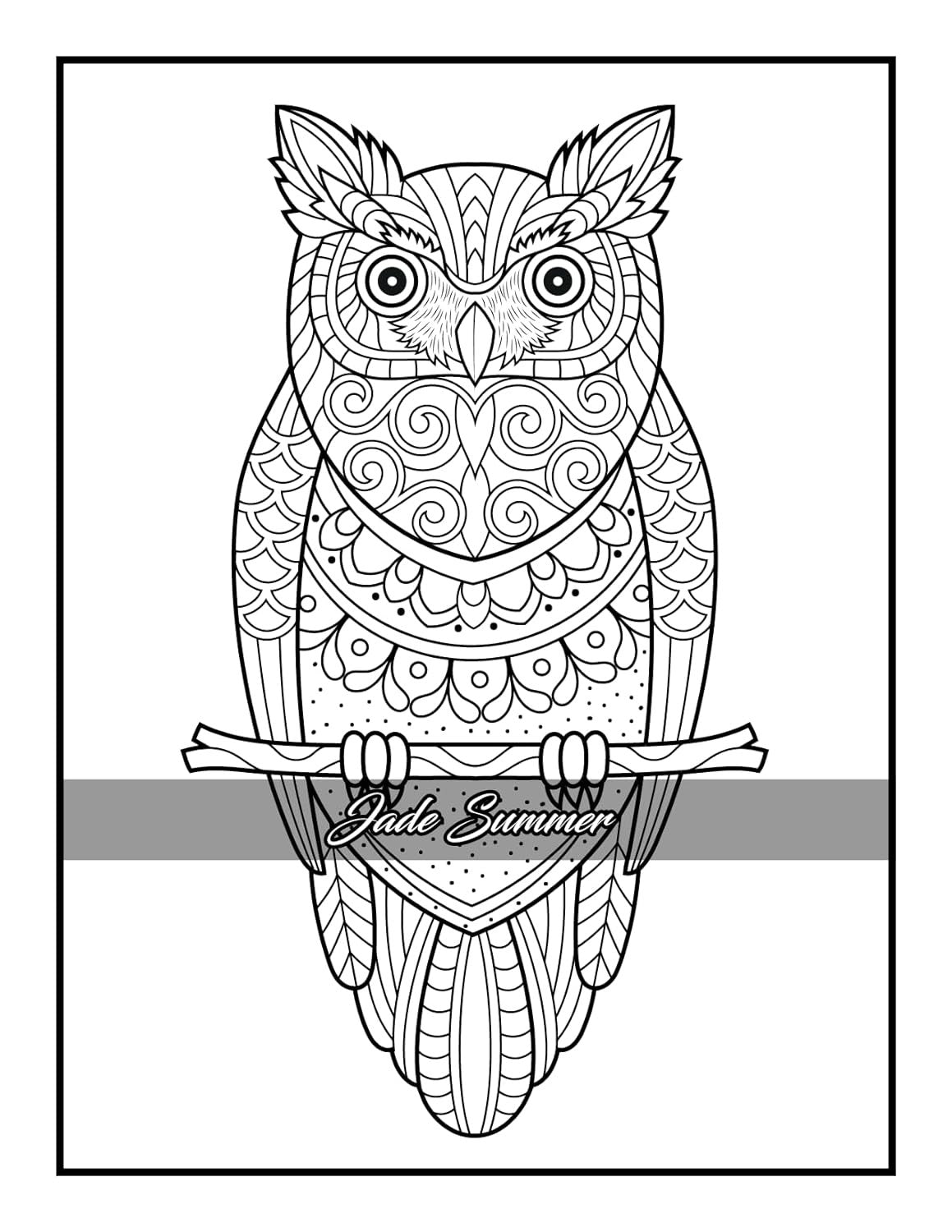 100 Animals: an Adult Coloring Book with Lions, Elephants, Owls, Horses, Dogs, C
