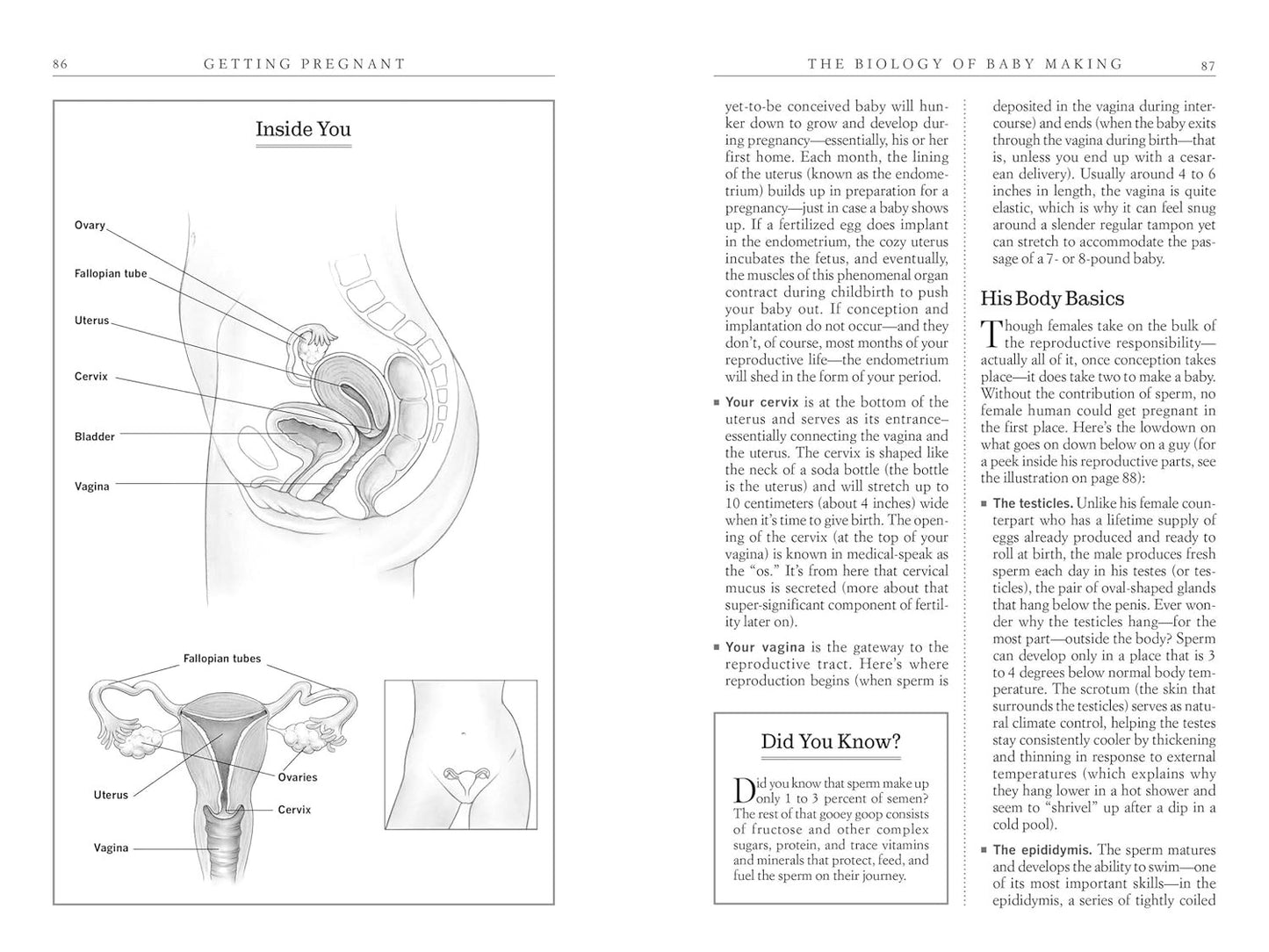 What to Expect before You'Re Expecting: the Complete Guide to Getting Pregnant