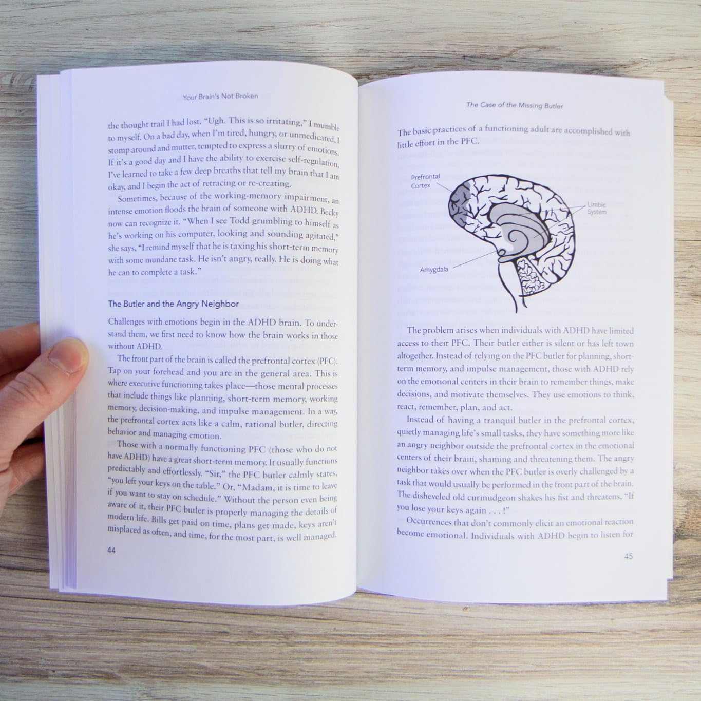 Your Brain'S Not Broken: Strategies for Navigating Your Emotions and Life with A