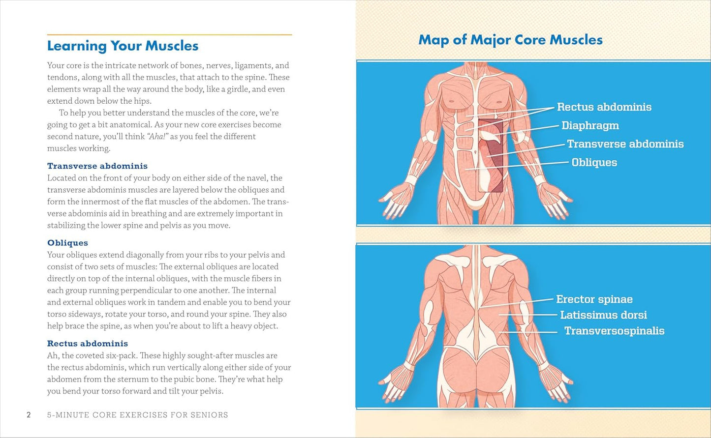 5-Minute Core Exercises for Seniors: Daily Routines to Build Balance and Boost C