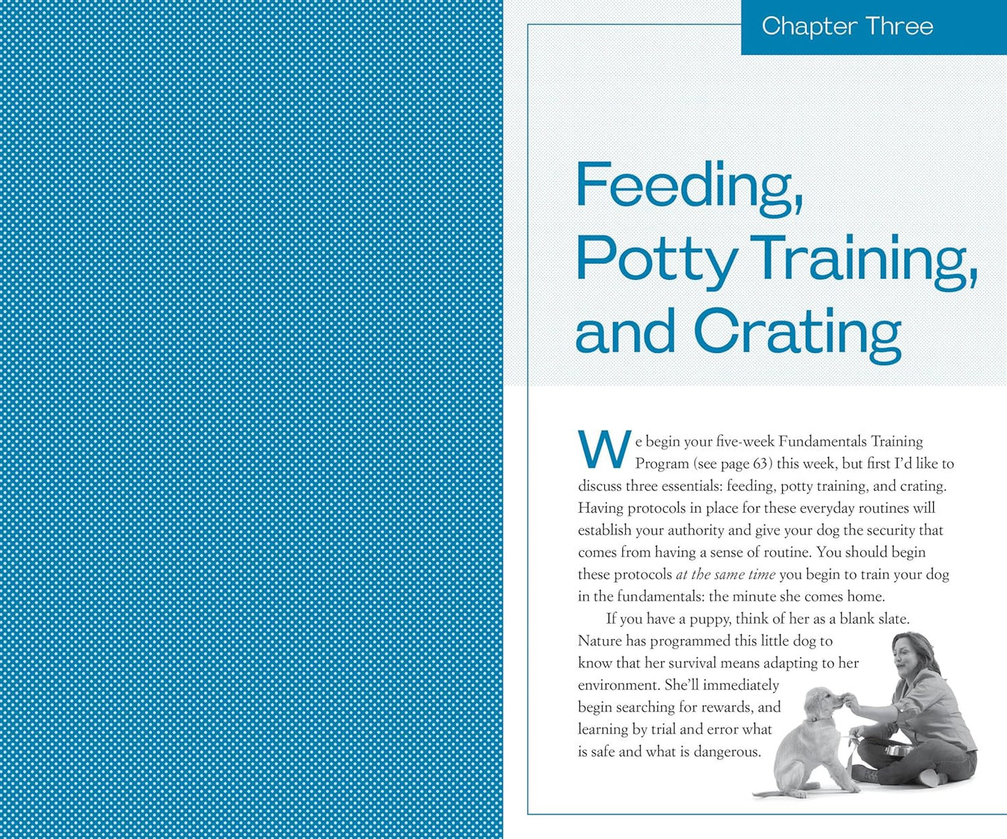 Training the Best Dog Ever: a 5-Week Program Using the Power of Positive Reinfor