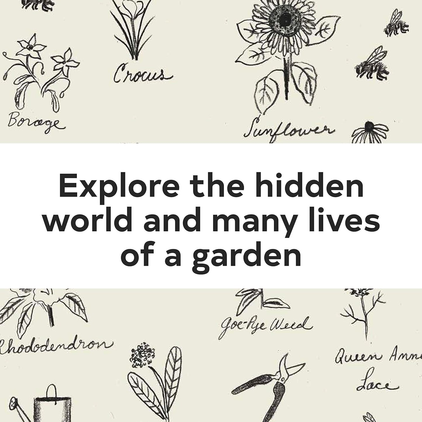 Up in the Garden and down in the Dirt: (Nature Book for Kids, Gardening and Vege