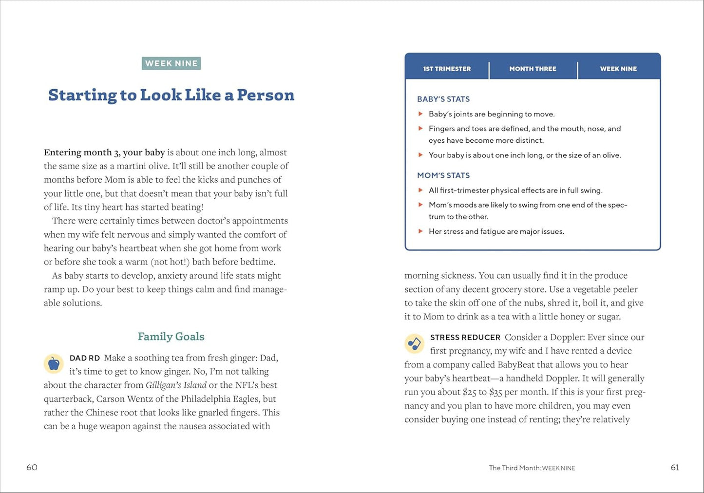 We'Re Pregnant! the First Time Dad'S Pregnancy Handbook