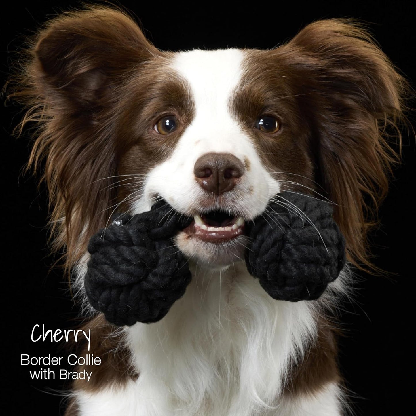 3-Pack Organic Cotton Dog Rope Pull Toys for All Pet Breeds, Pink Ombre, One Siz