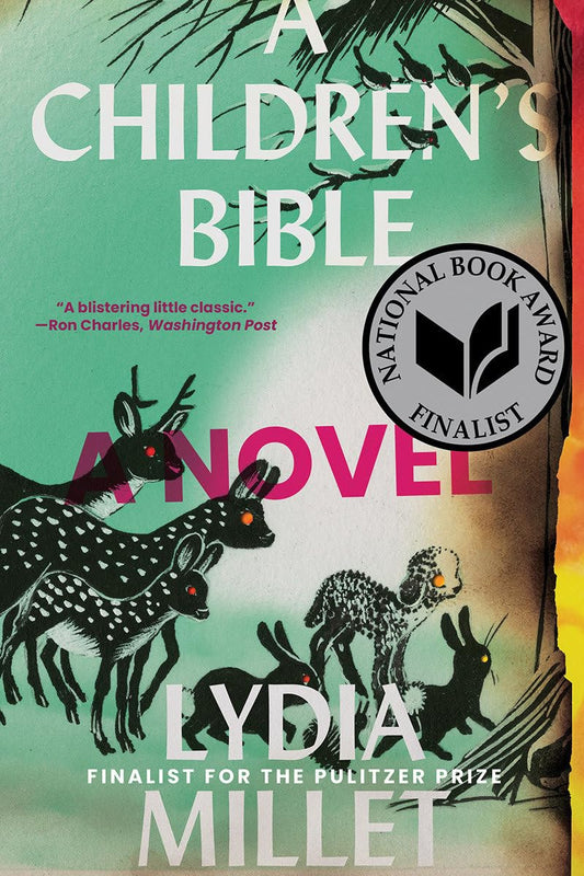A Children'S Bible: a Novel