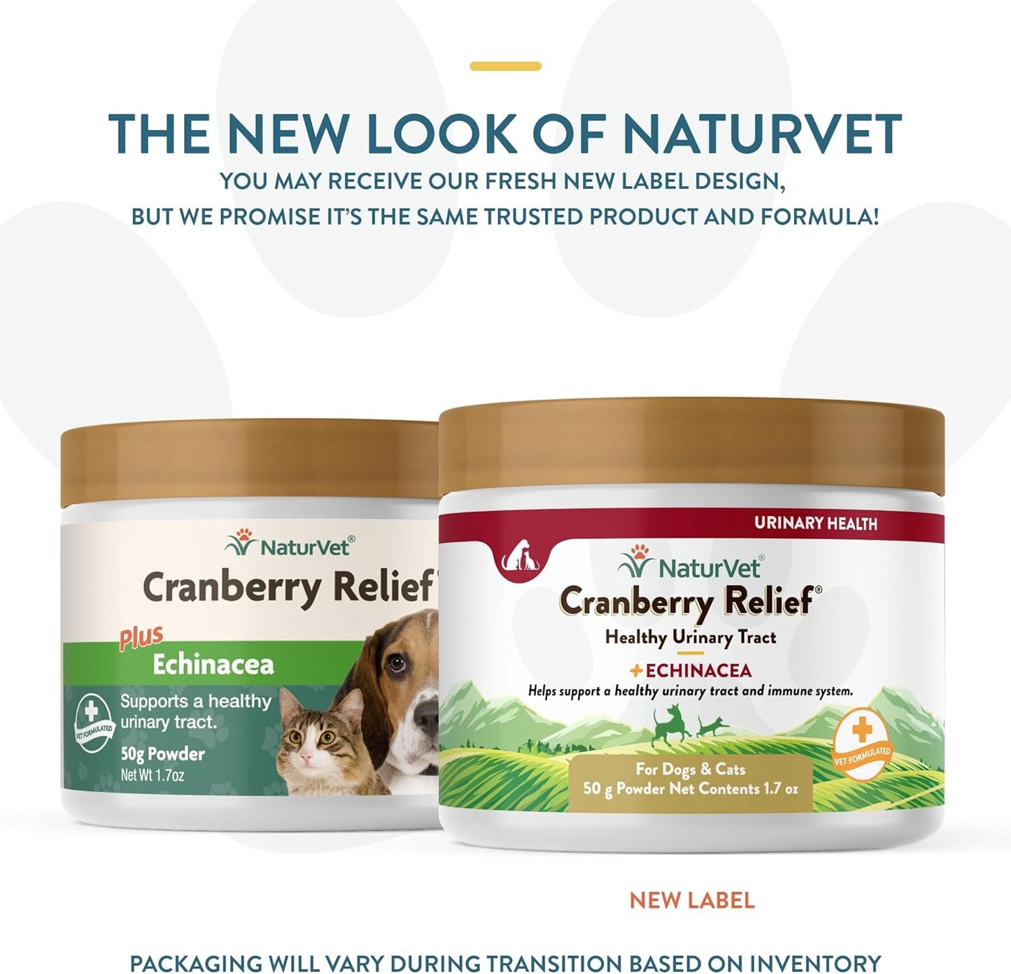 – Cranberry Relief plus Echinacea | Helps Support a Healthy Urinary Tract & Immu
