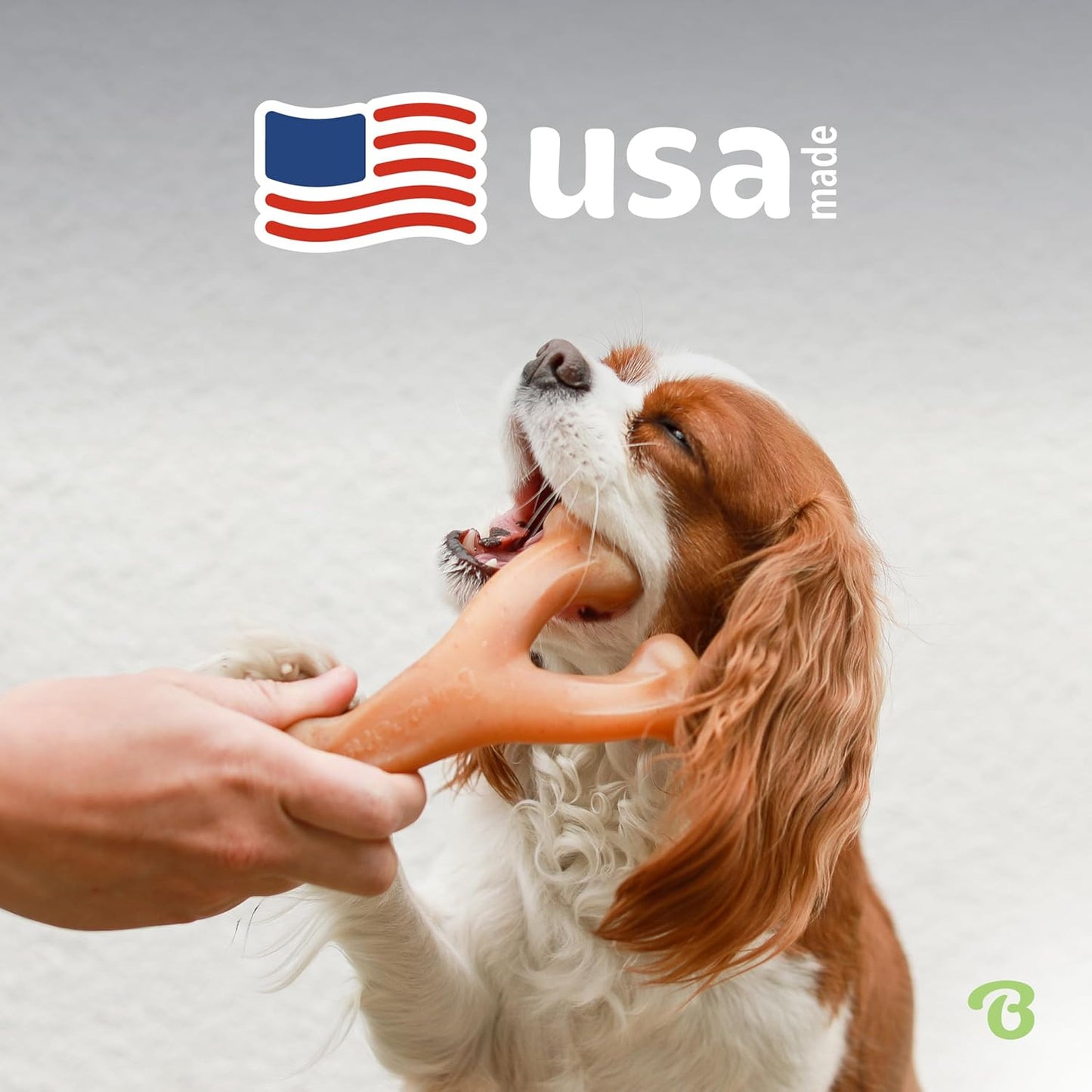 Wishbone Durable Dog Chew Toy for Aggressive Chewers, Real Bacon, Made in USA, M