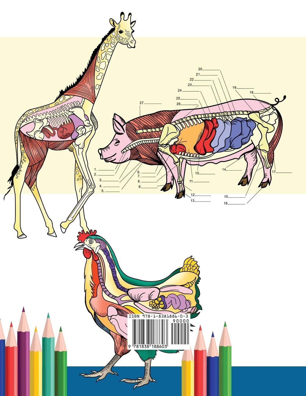Veterinary Anatomy Coloring Book: Animals Physiology Self-Quiz Color Workbook fo